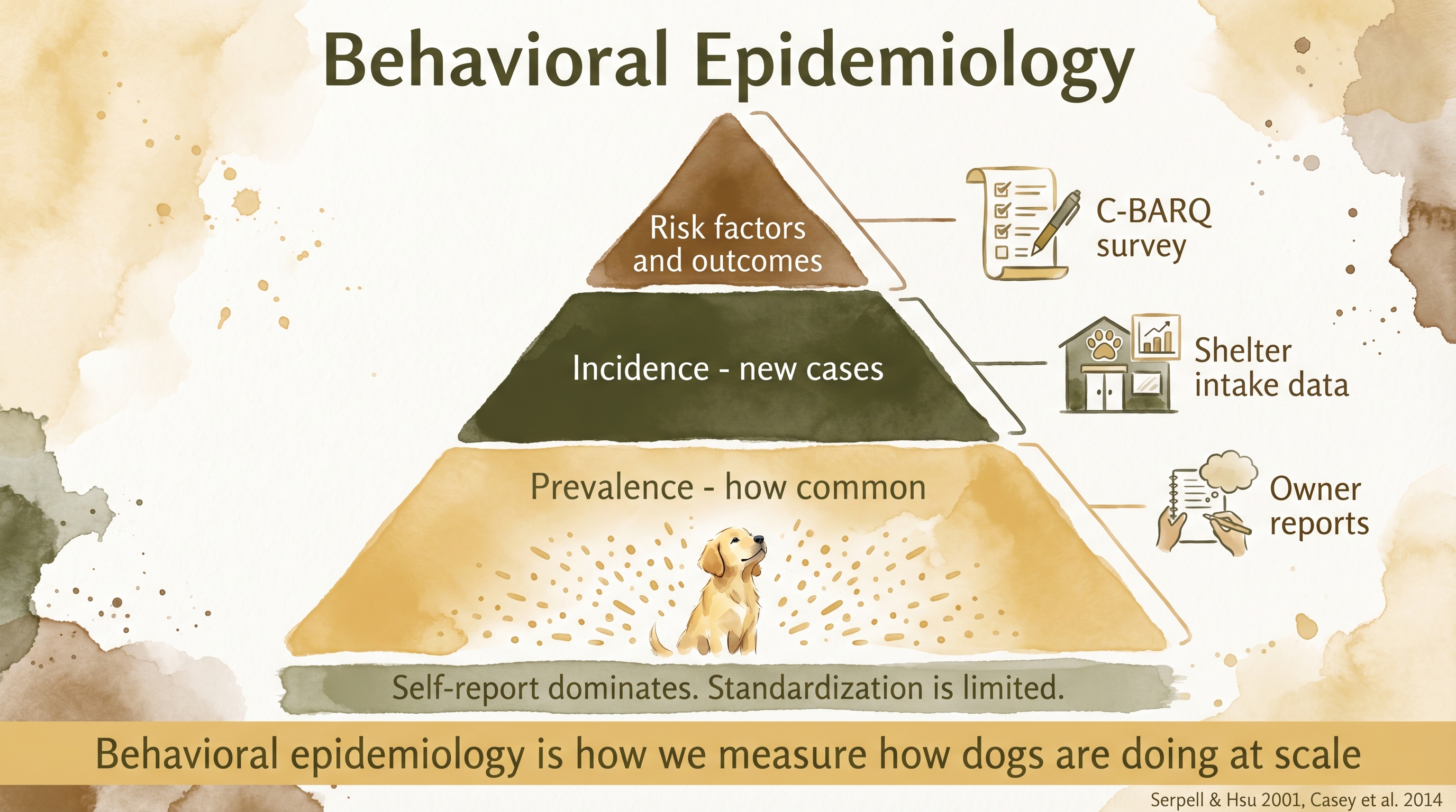 Infographic: Behavioral epidemiology pyramid showing prevalence incidence and risk factors in canine populations - Just Behaving Wiki