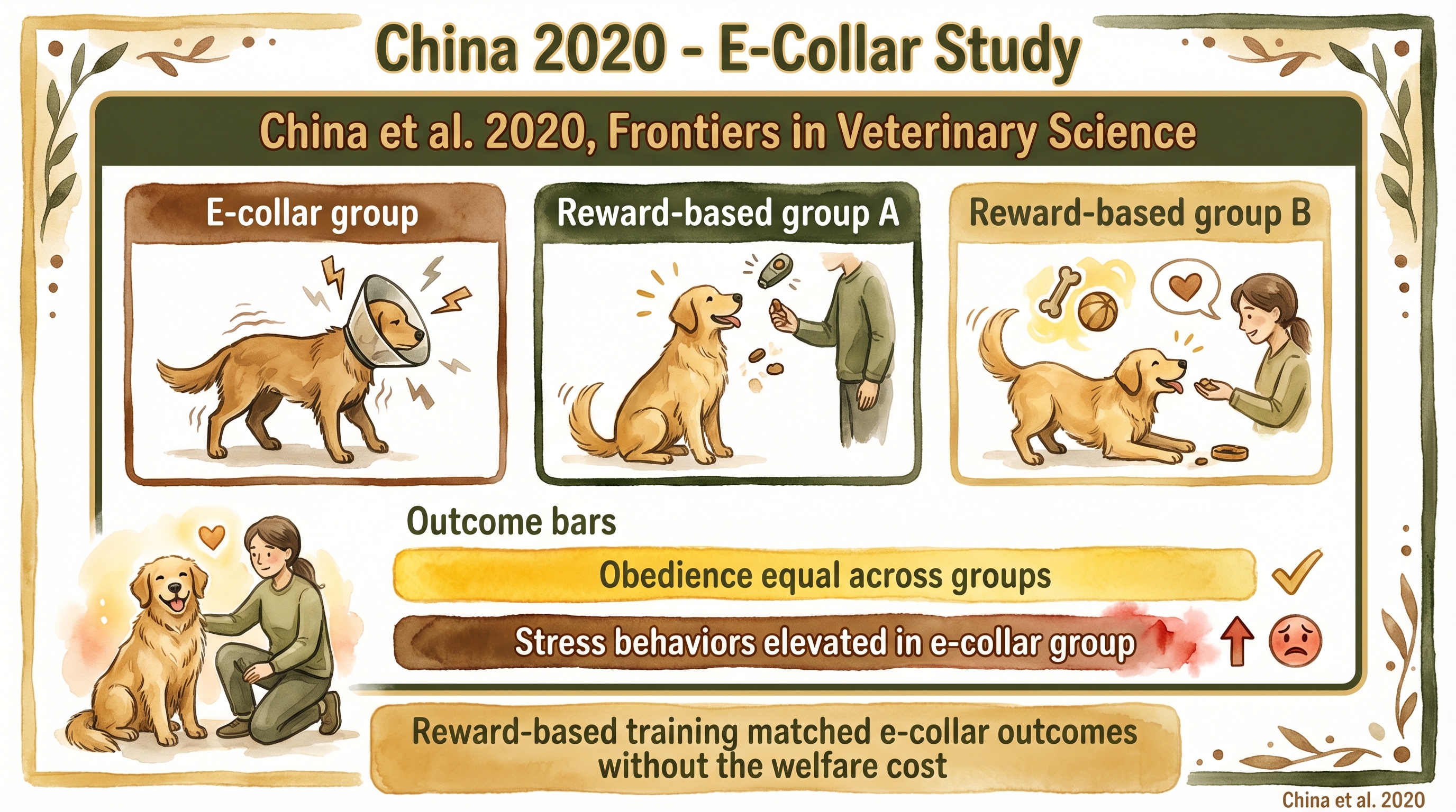 Infographic: China 2020 e-collar study showing equal obedience outcomes but elevated stress in the e-collar group - Just Behaving Wiki