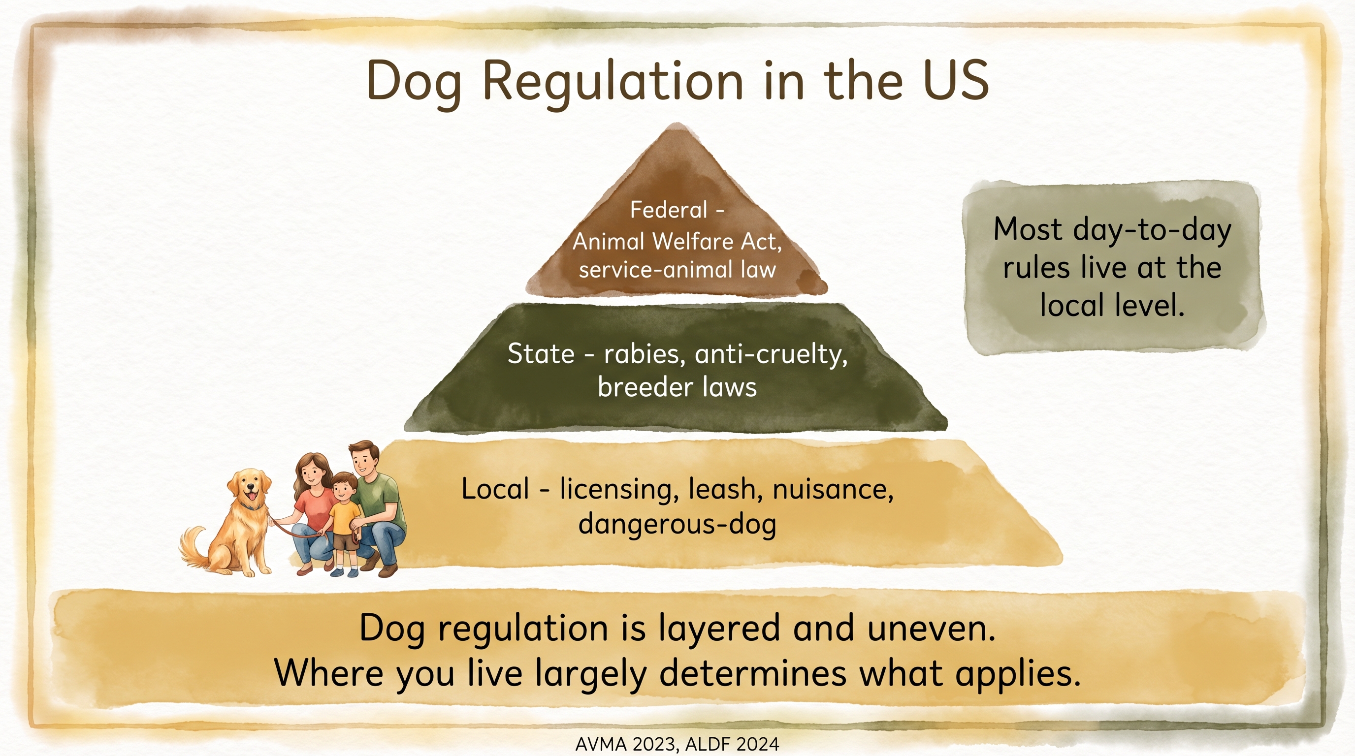 Infographic: Dog regulation in the US showing three-tier pyramid from local through federal authority - Just Behaving Wiki