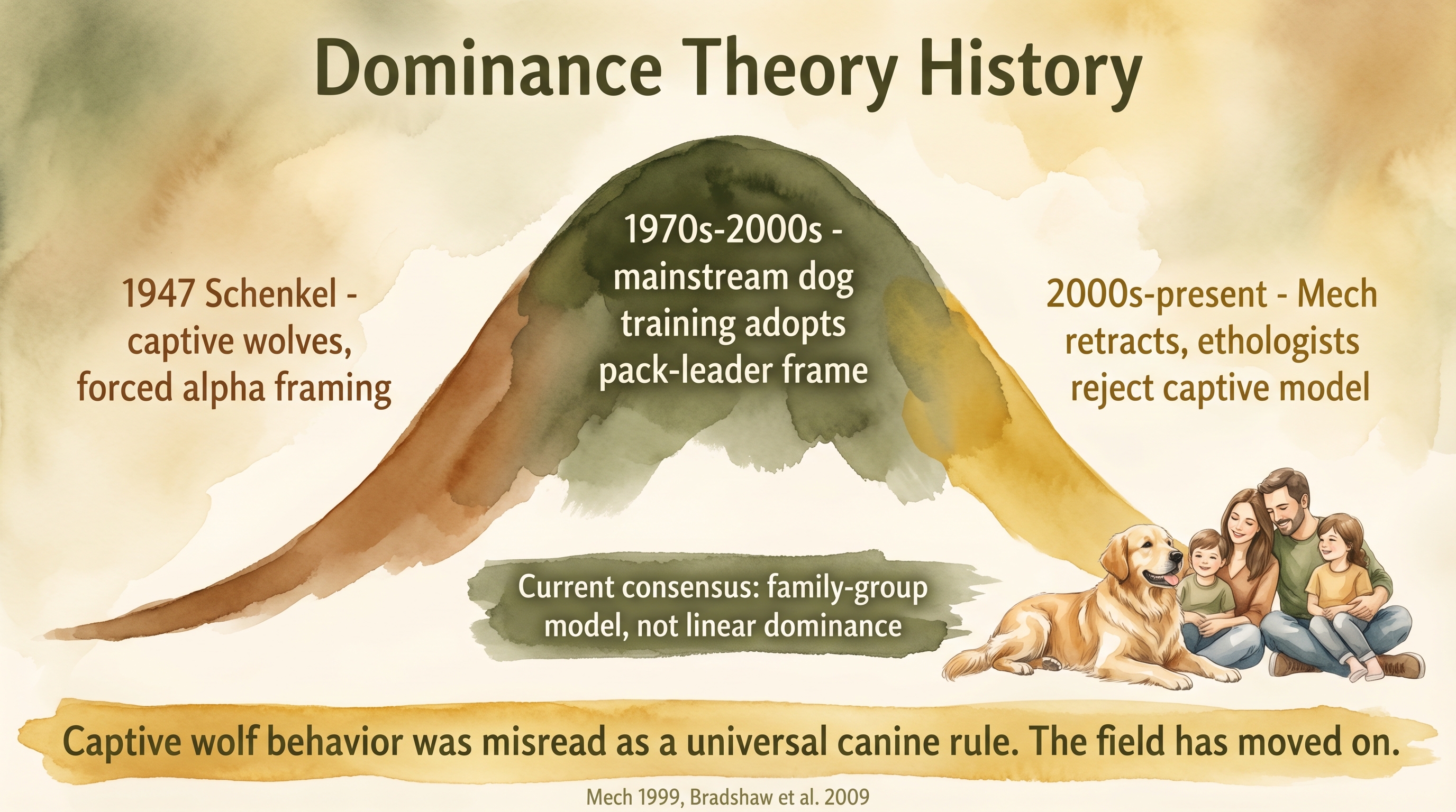Infographic: Dominance theory history showing rise from Schenkel captive wolf studies and decline after Mech retraction - Just Behaving Wiki