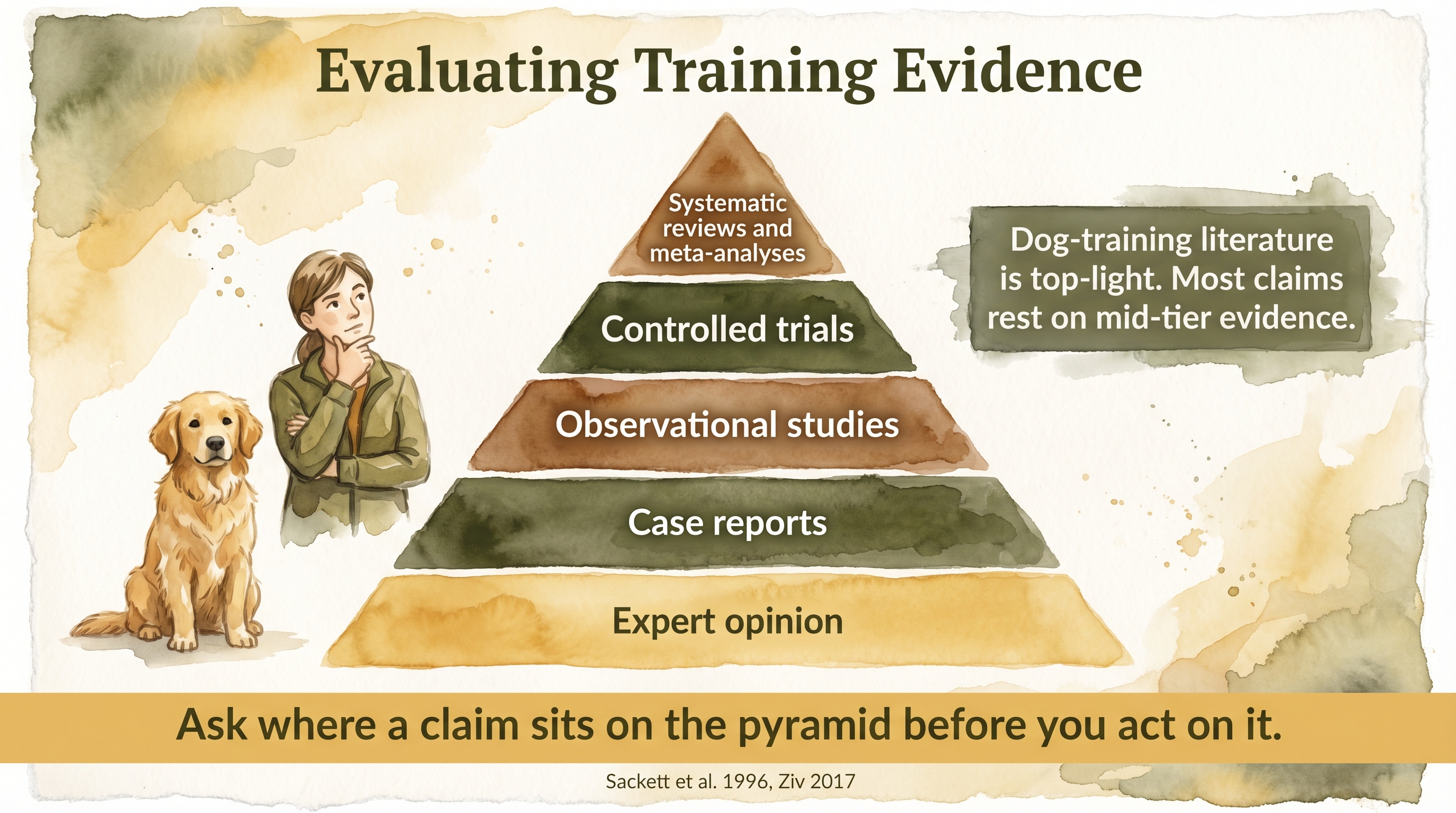 Infographic: How training evidence is evaluated showing classic evidence pyramid from expert opinion to systematic review - Just Behaving Wiki