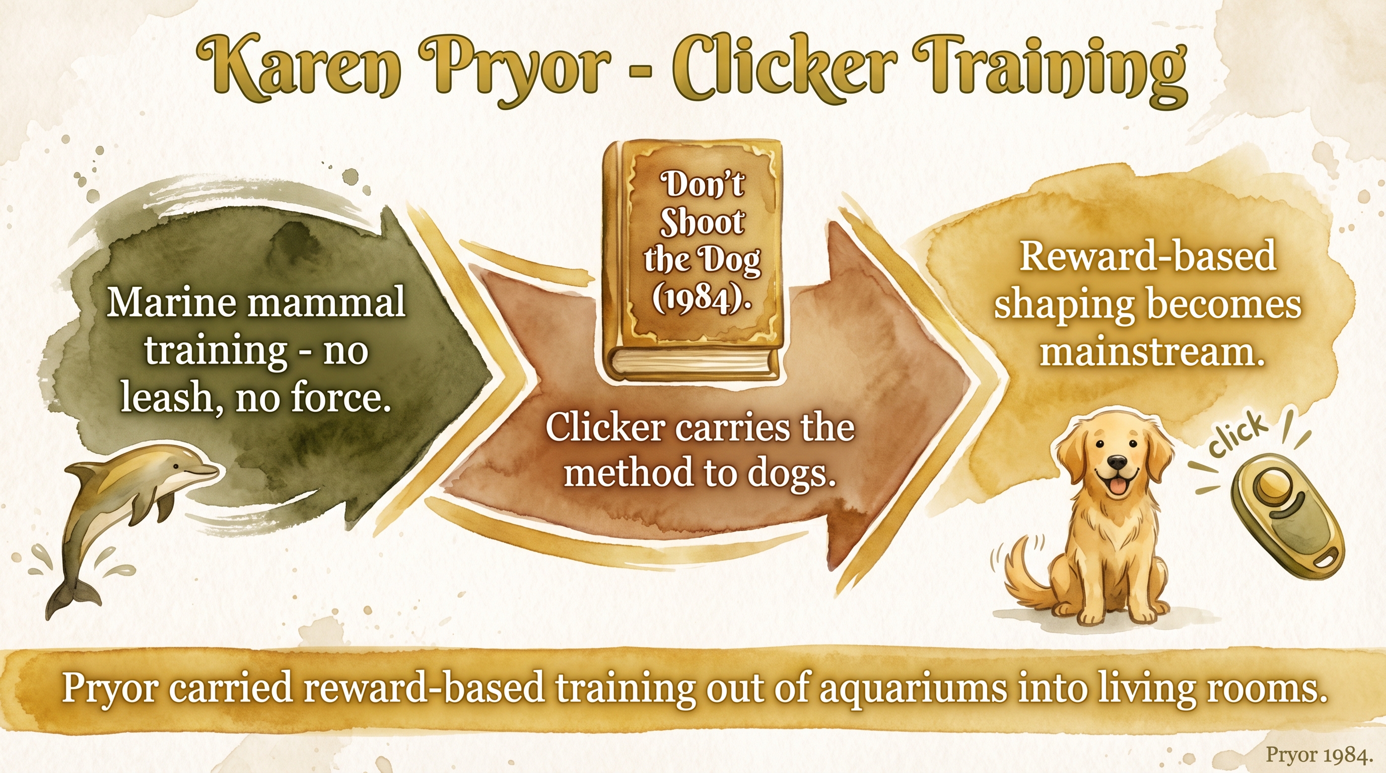 Infographic: Karen Pryor and clicker training showing lineage from marine mammal training into mainstream dog training - Just Behaving Wiki