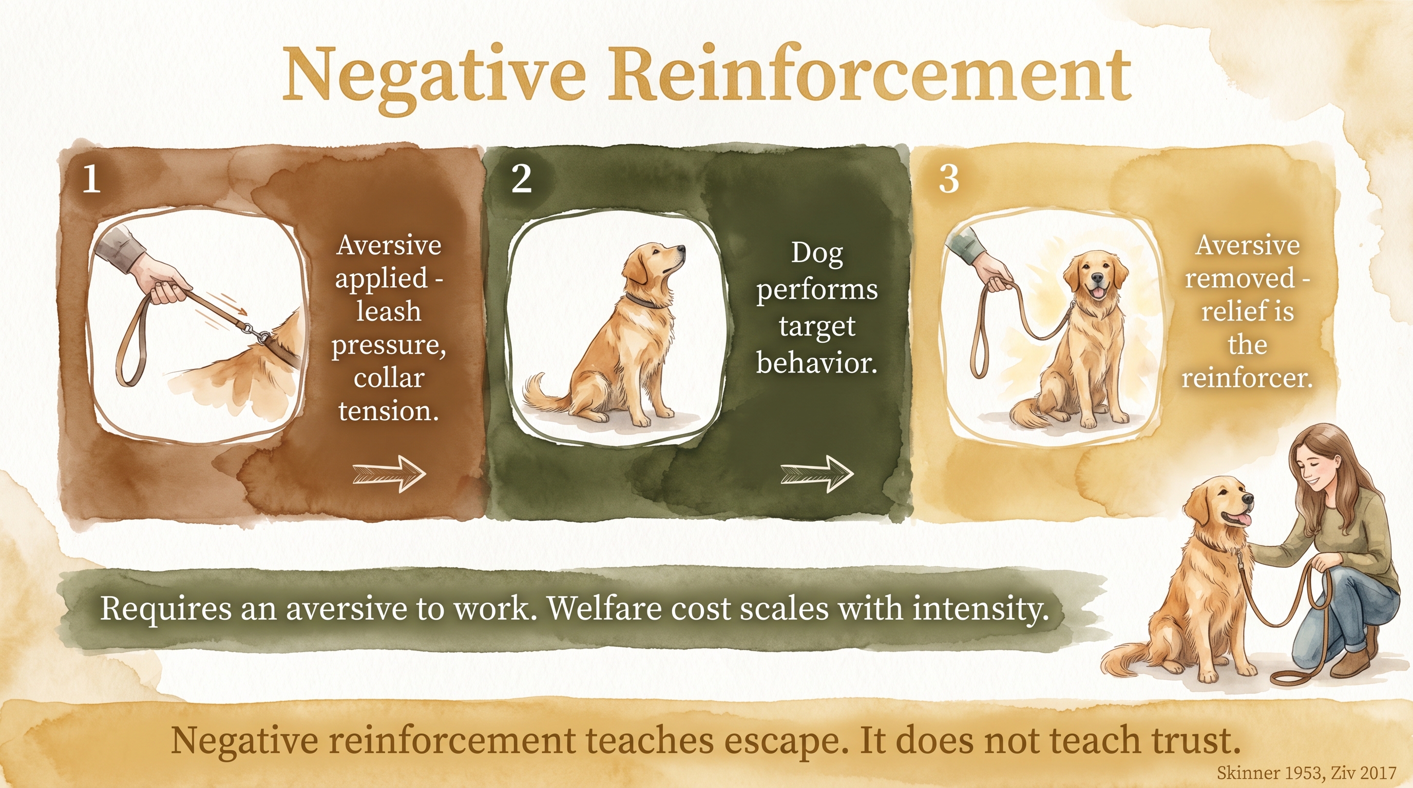 Infographic: Negative reinforcement in training showing three-step escape sequence and welfare implications - Just Behaving Wiki
