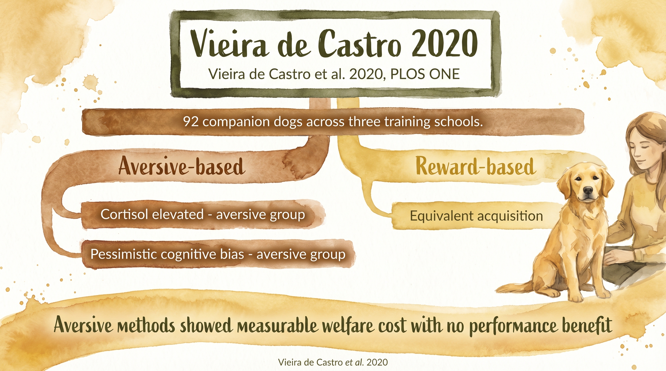 Infographic: Vieira de Castro 2020 study showing elevated cortisol and pessimistic bias in aversive-trained dogs - Just Behaving Wiki
