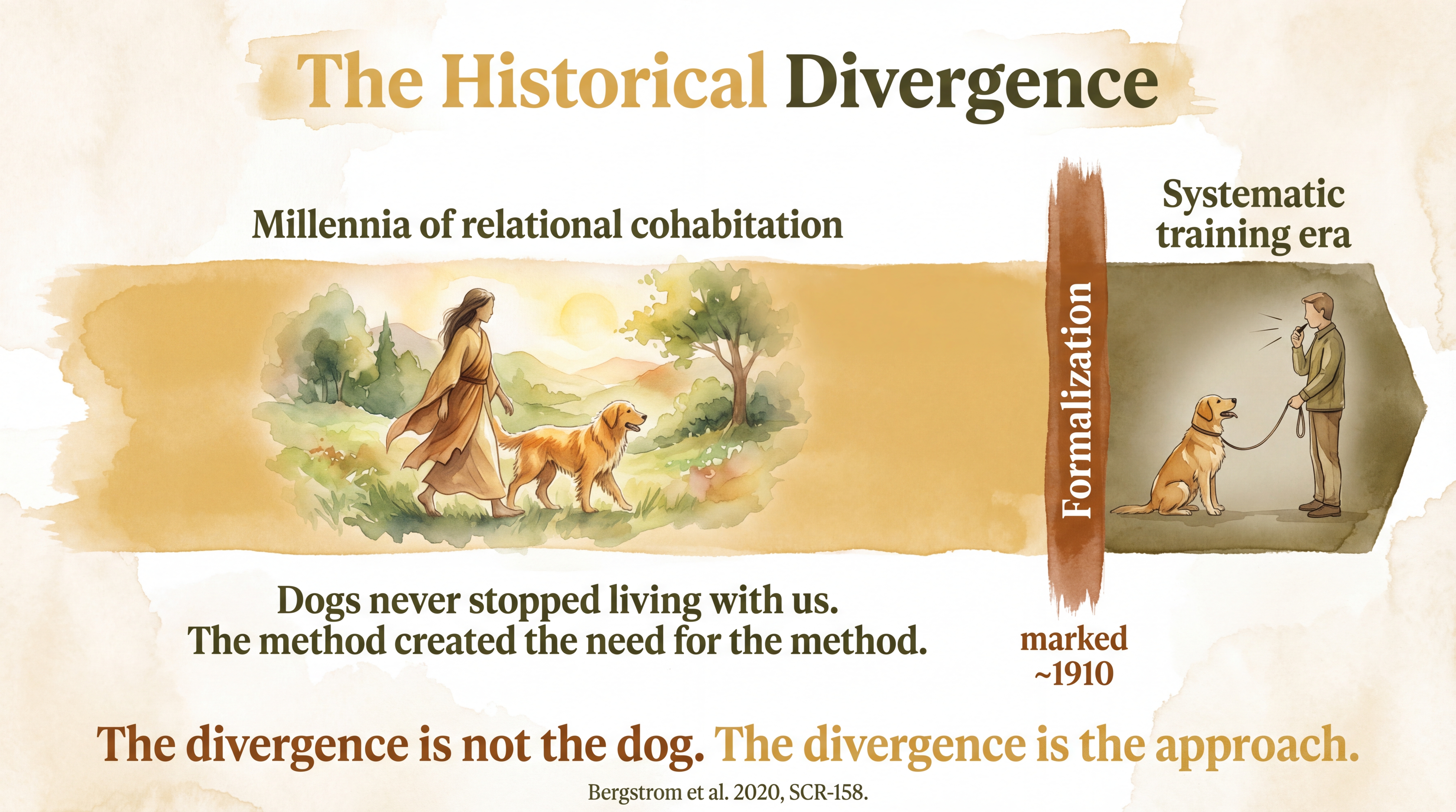 Infographic: Historical divergence - timeline showing millennia of relational cohabitation followed by the sharp break of training formalization around 1910 - Just Behaving Wiki