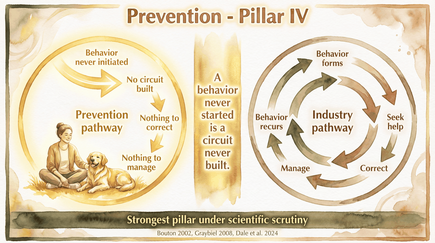Infographic: Prevention pillar four - contrasting the clean prevention pathway where no circuit is built against the industry correction cycle that never fully resolves - Just Behaving Wiki