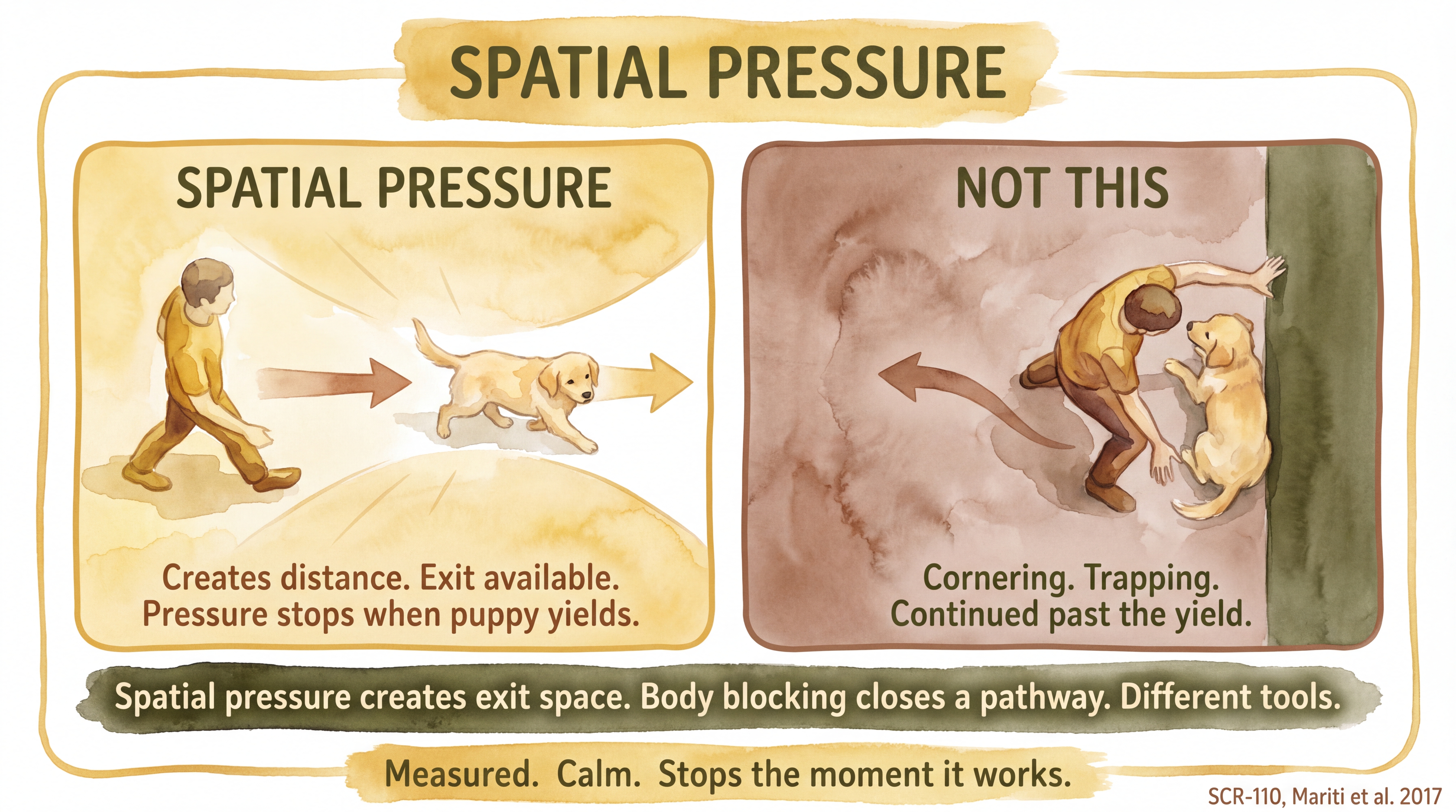 Infographic: Spatial pressure - overhead view comparing calm measured advance with open exit path against cornering and trapping with no exit - Just Behaving Wiki