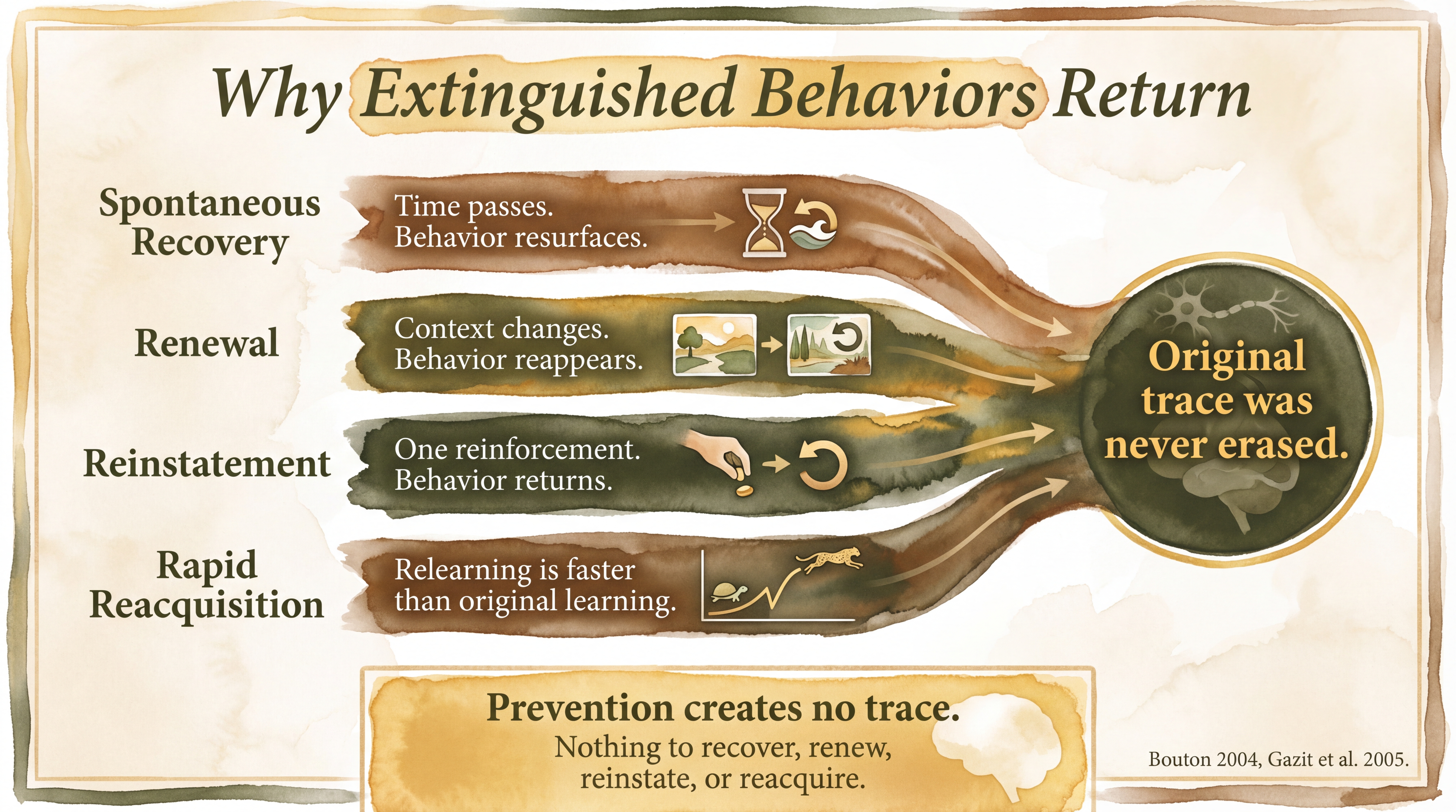 Infographic: Spontaneous recovery and relapse - four documented mechanisms by which extinguished behaviors return proving the original learning trace was never erased - Just Behaving Wiki