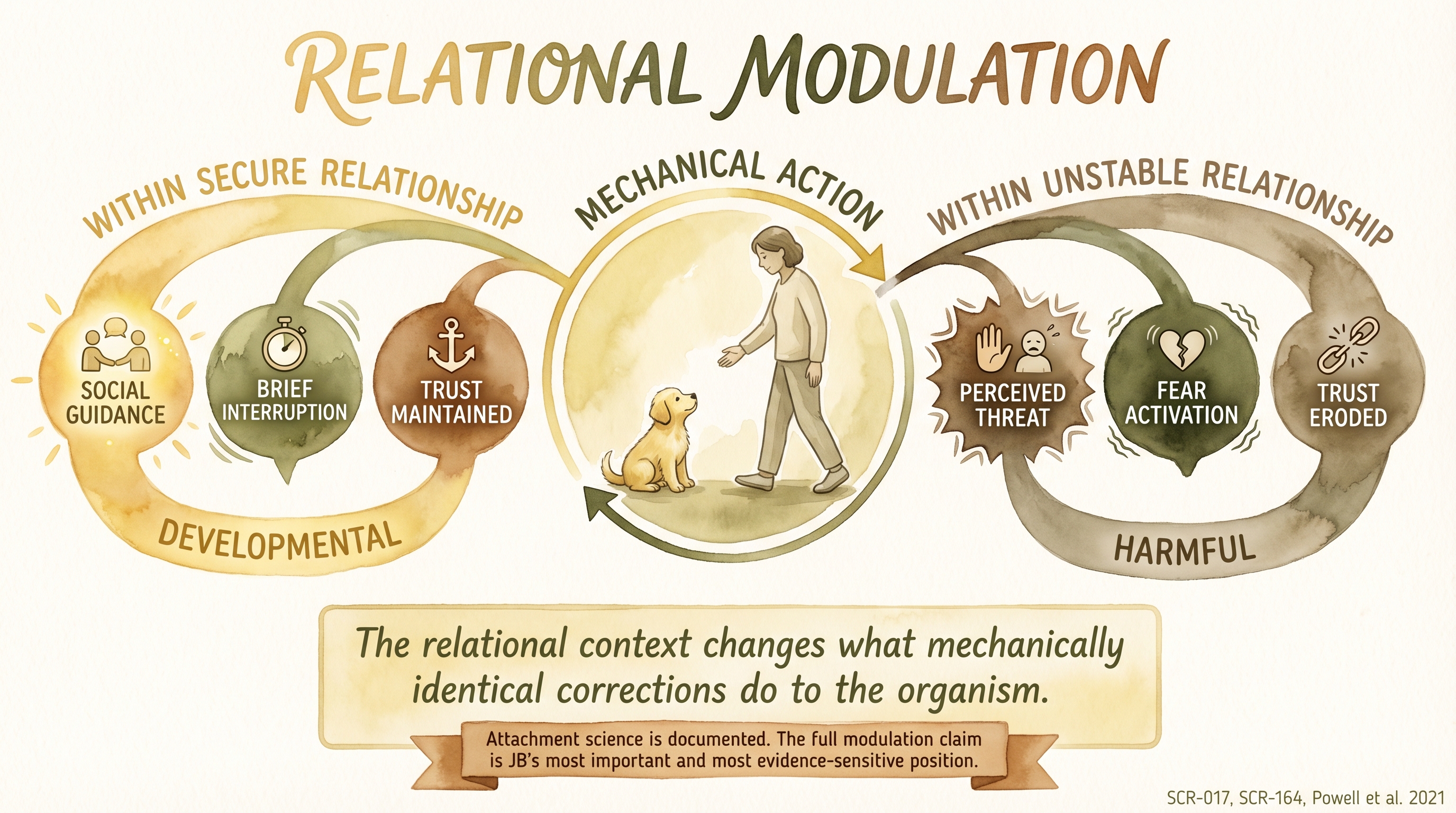 Infographic: Relational modulation claim - identical mechanical action producing social guidance within a secure relationship versus perceived threat within an unstable relationship - Just Behaving Wiki