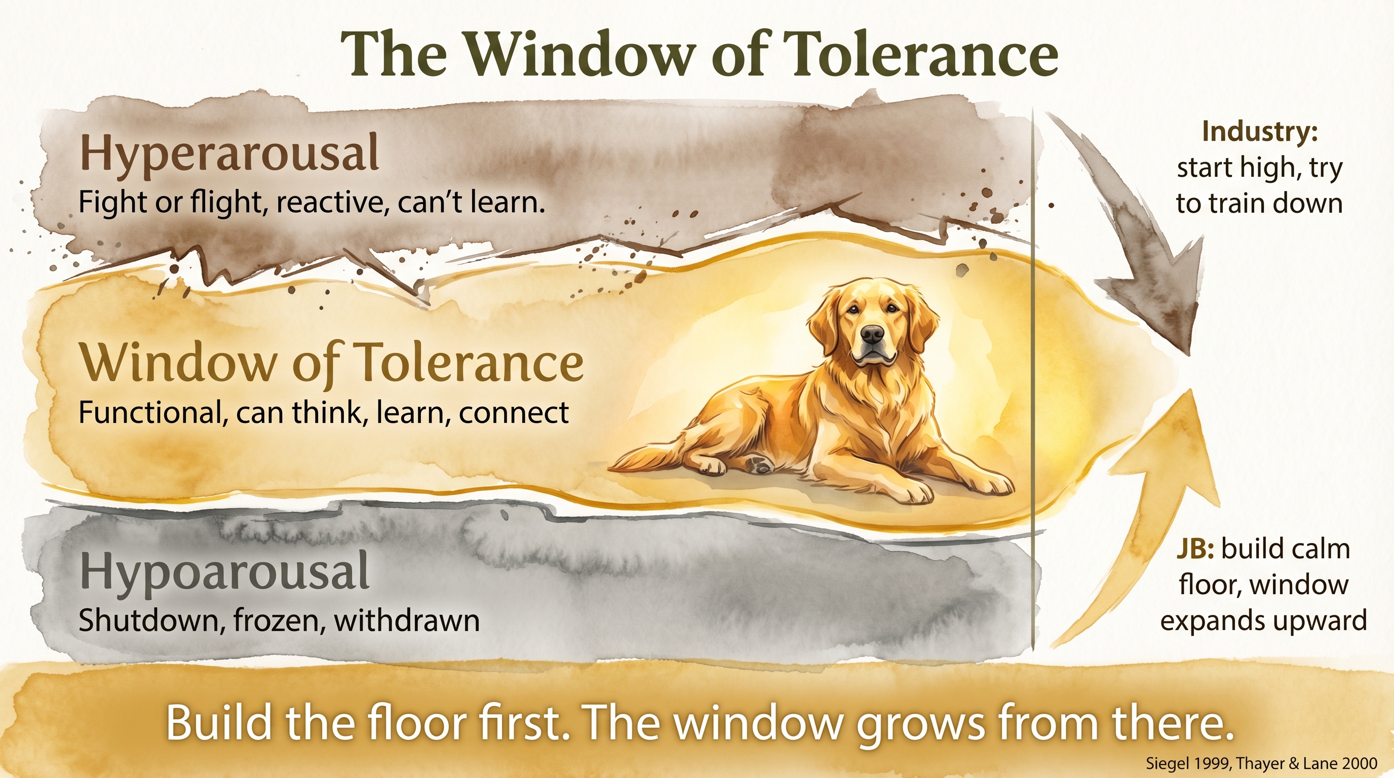 Infographic: Window of tolerance - three-zone arousal diagram showing hyperarousal, functional window, and hypoarousal with JB approach of building the calm floor first versus industry approach of starting high - Just Behaving Wiki