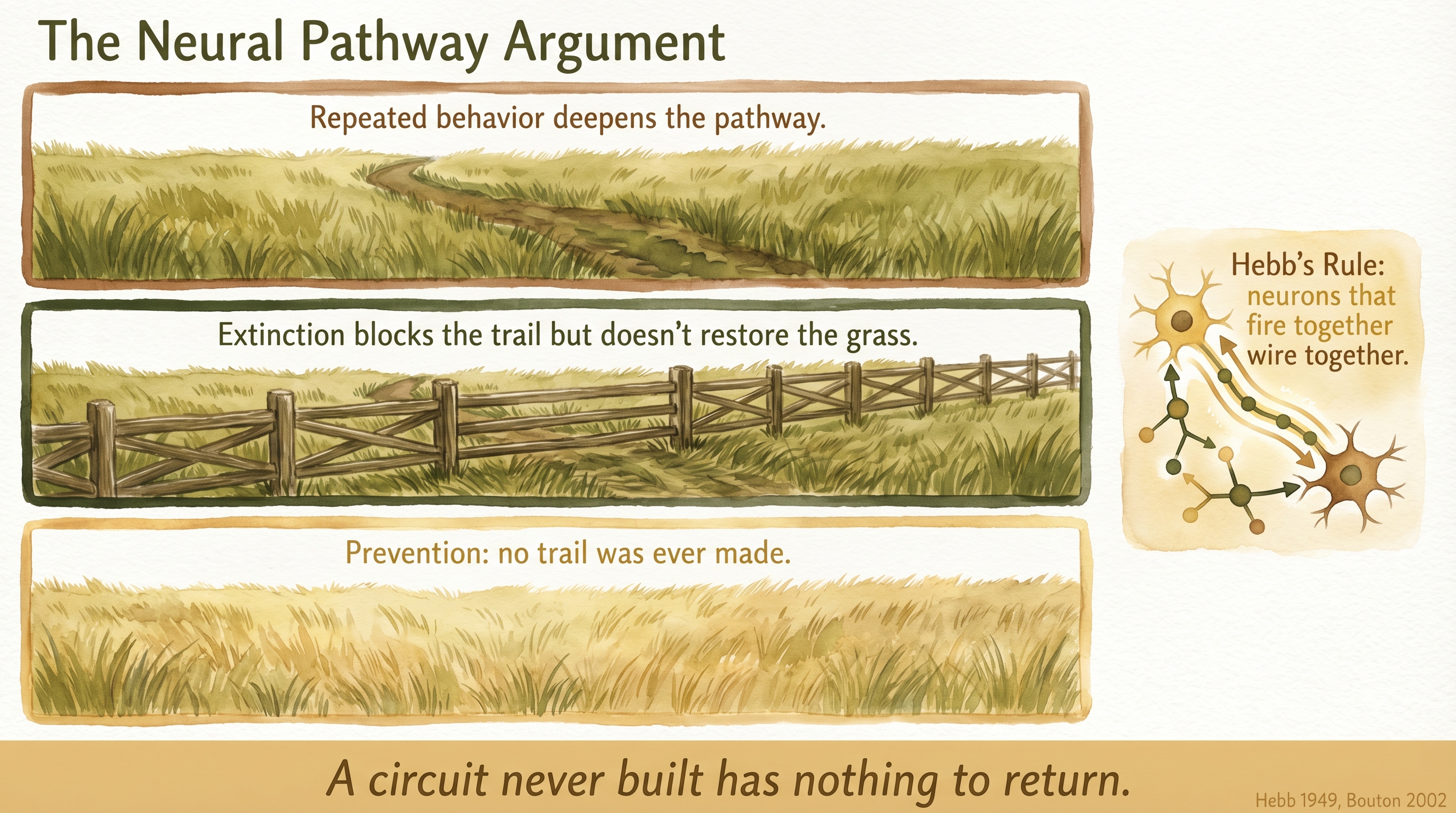 Infographic: The neural pathway argument - trail-through-grass metaphor showing Hebbian wiring, extinction blocking, and prevention as no trail made - Just Behaving Wiki
