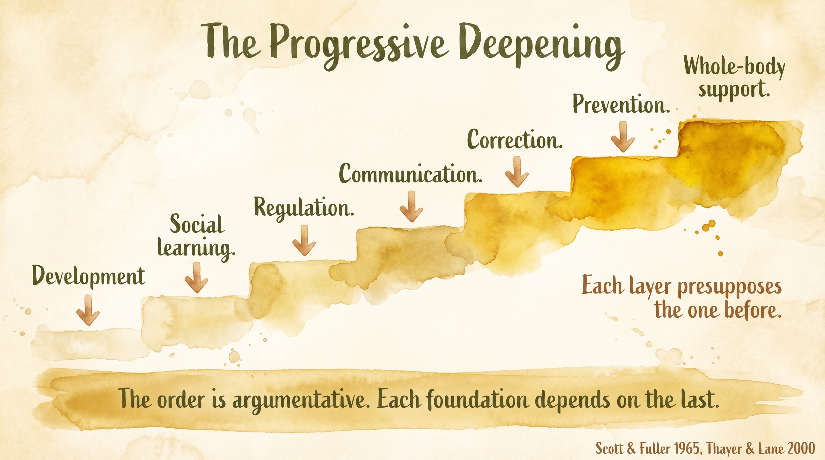 Infographic: The progressive deepening - seven-step ascending staircase from development through whole-body support showing sequential Foundation dependencies - Just Behaving Wiki