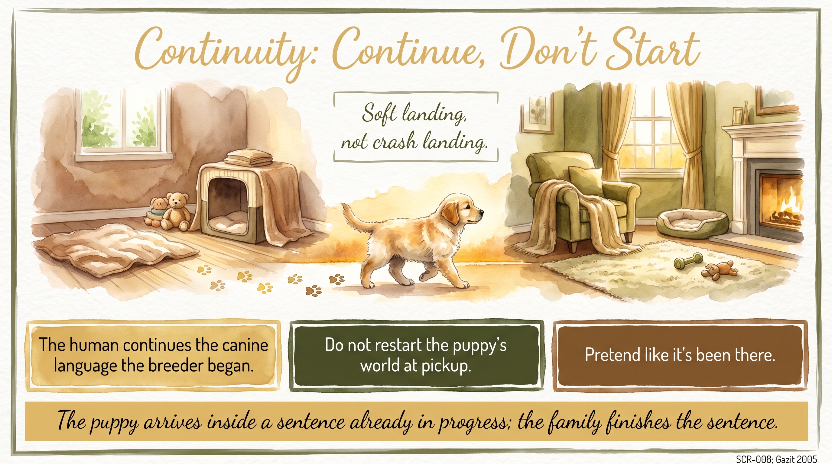 Infographic: Continue, Don't Start - why the new family continues the calm breeder context rather than beginning a training program - Just Behaving Wiki