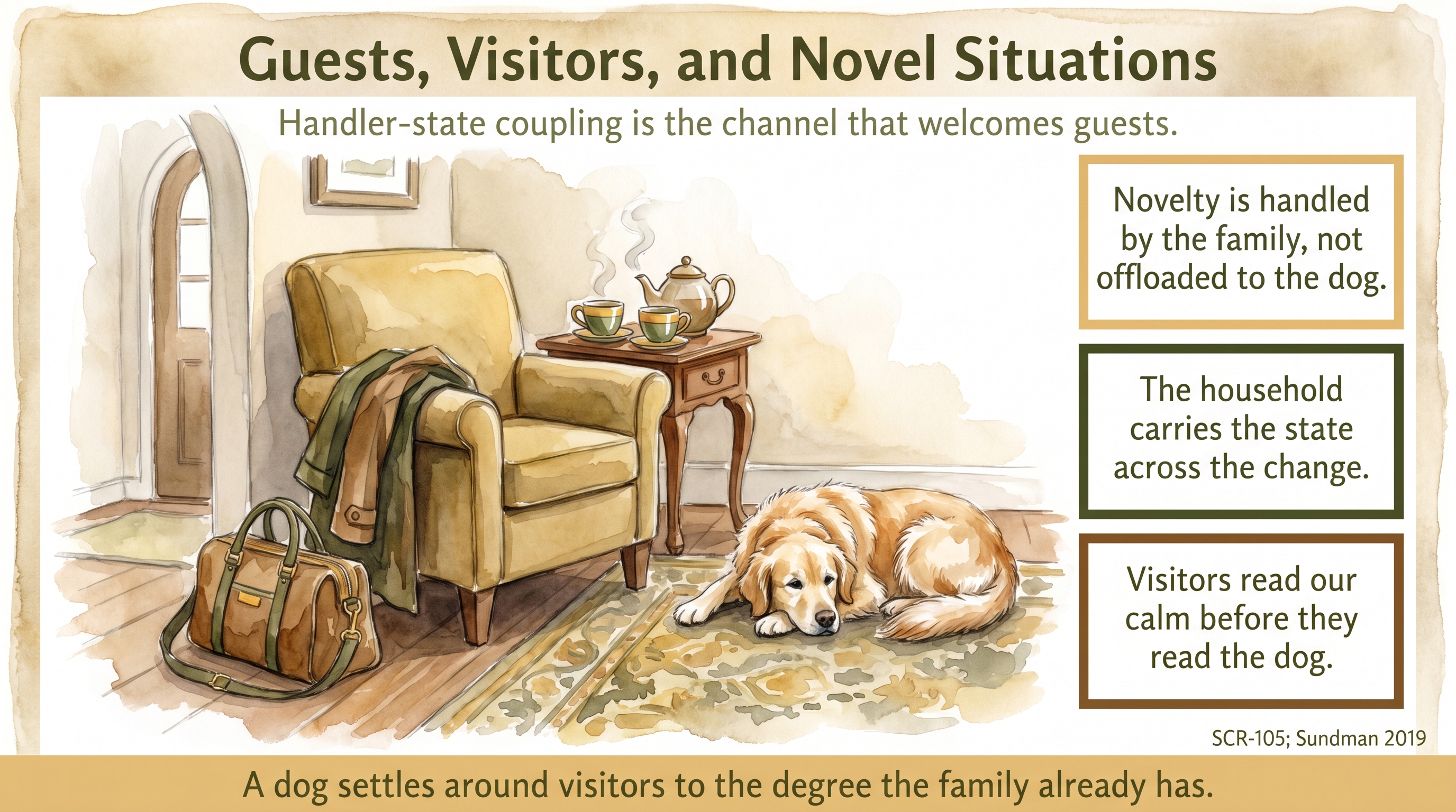 Infographic: Guests, Visitors, and Novel Situations - how the household continues its regulated channel so novelty arrives inside familiarity - Just Behaving Wiki