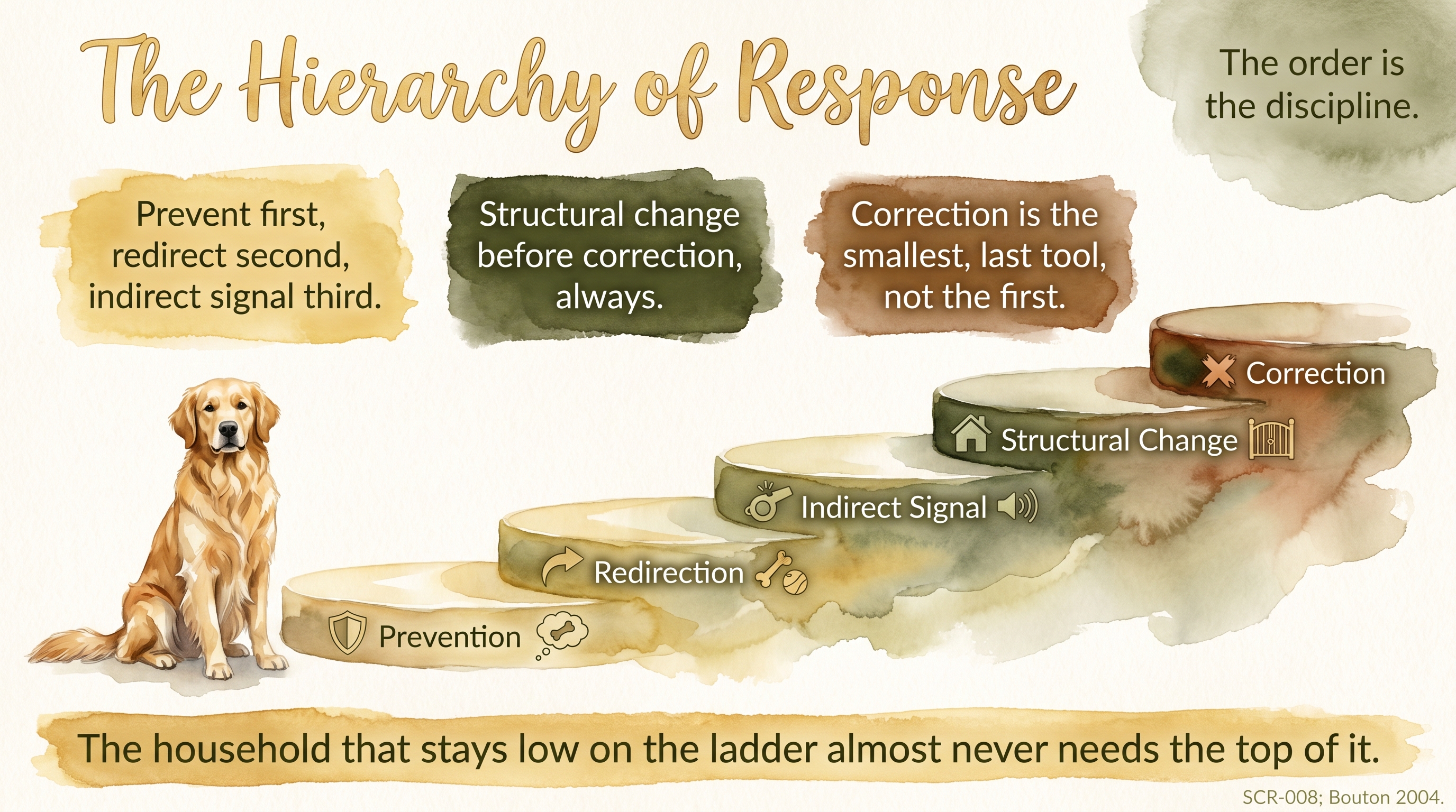 Infographic: Hierarchy of Response - how prevention, indirect correction, and direct correction rank in order of preference for raising a calm dog - Just Behaving Wiki