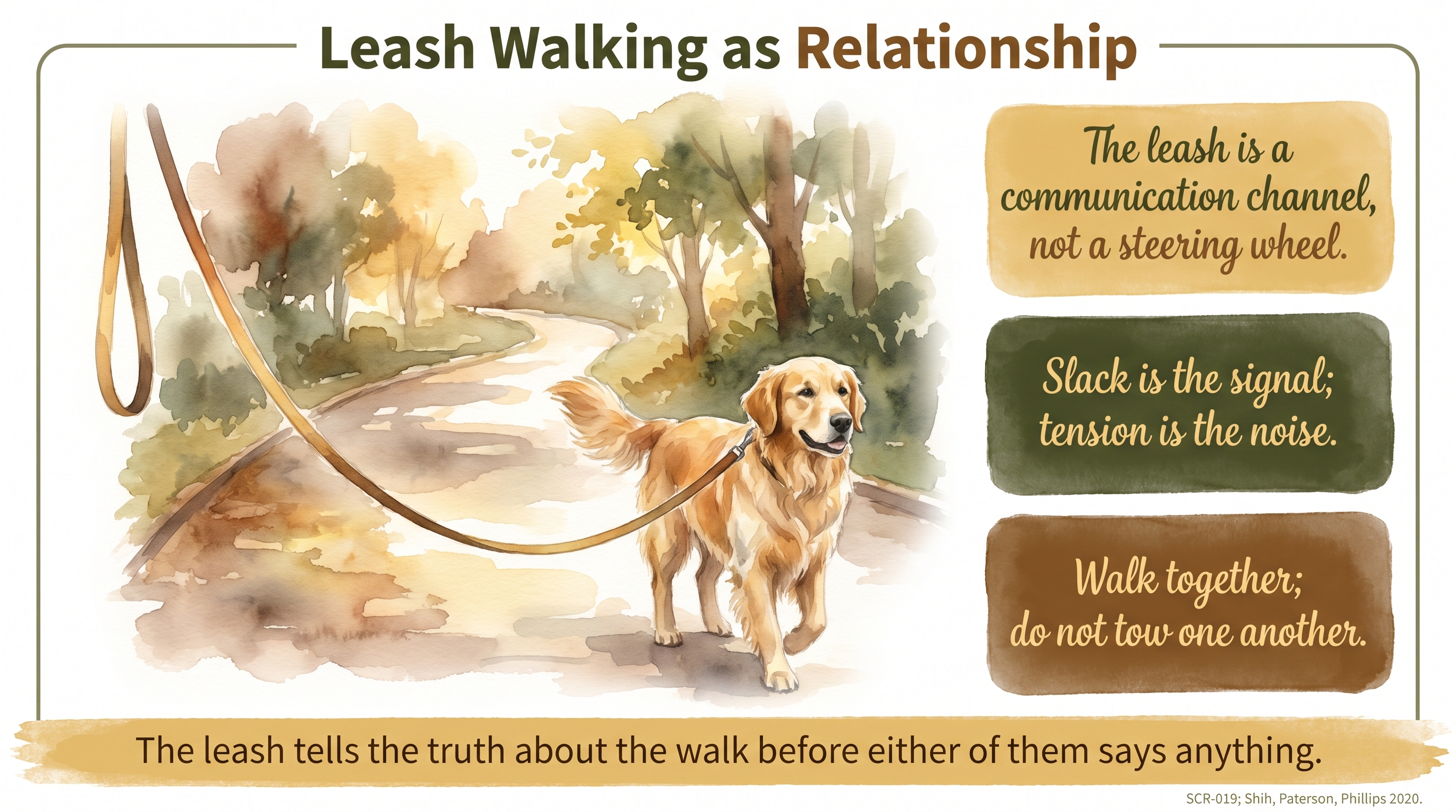 Infographic: Leash Walking as Relationship - the leash as a communication channel rather than a steering mechanism - Just Behaving Wiki