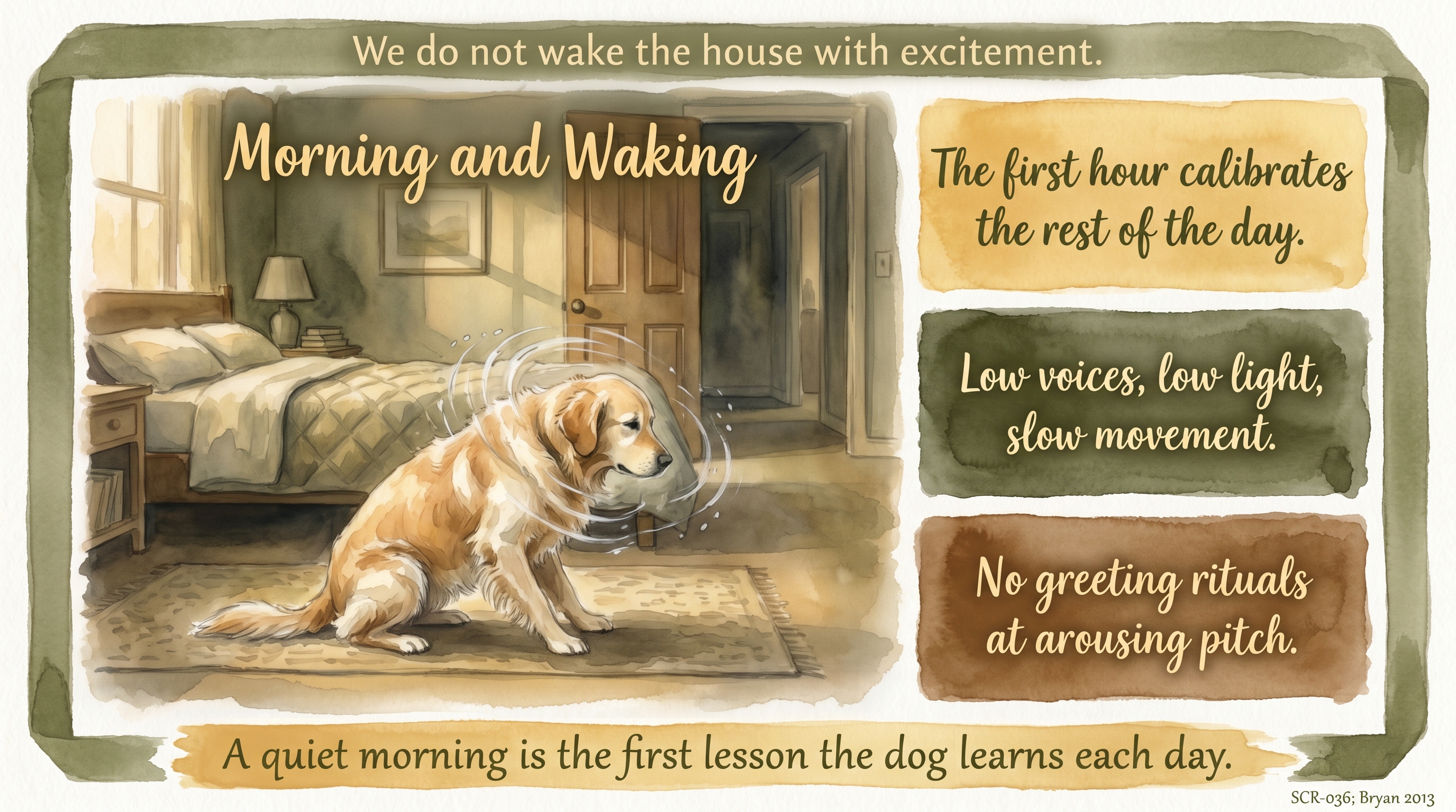 Infographic: Morning and Waking - why the first minutes of the day set the parasympathetic tone a dog carries into everything that follows - Just Behaving Wiki