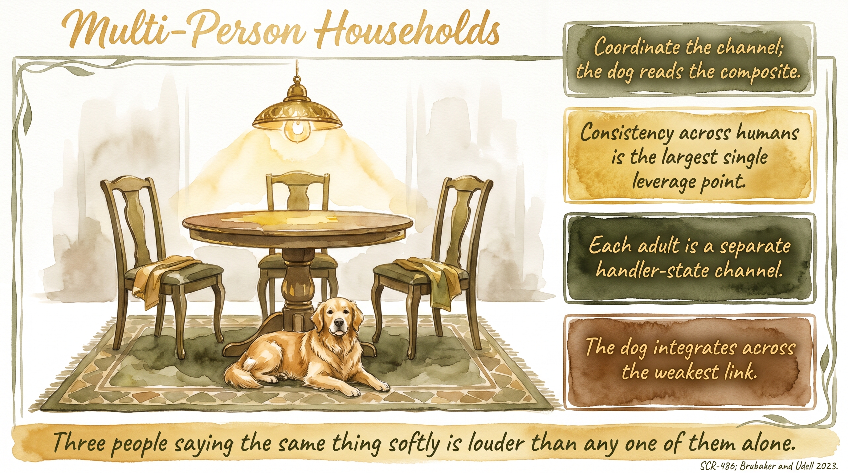 Infographic: Multi-Person Households - why consistency across family members gives the dog one channel to read rather than several - Just Behaving Wiki