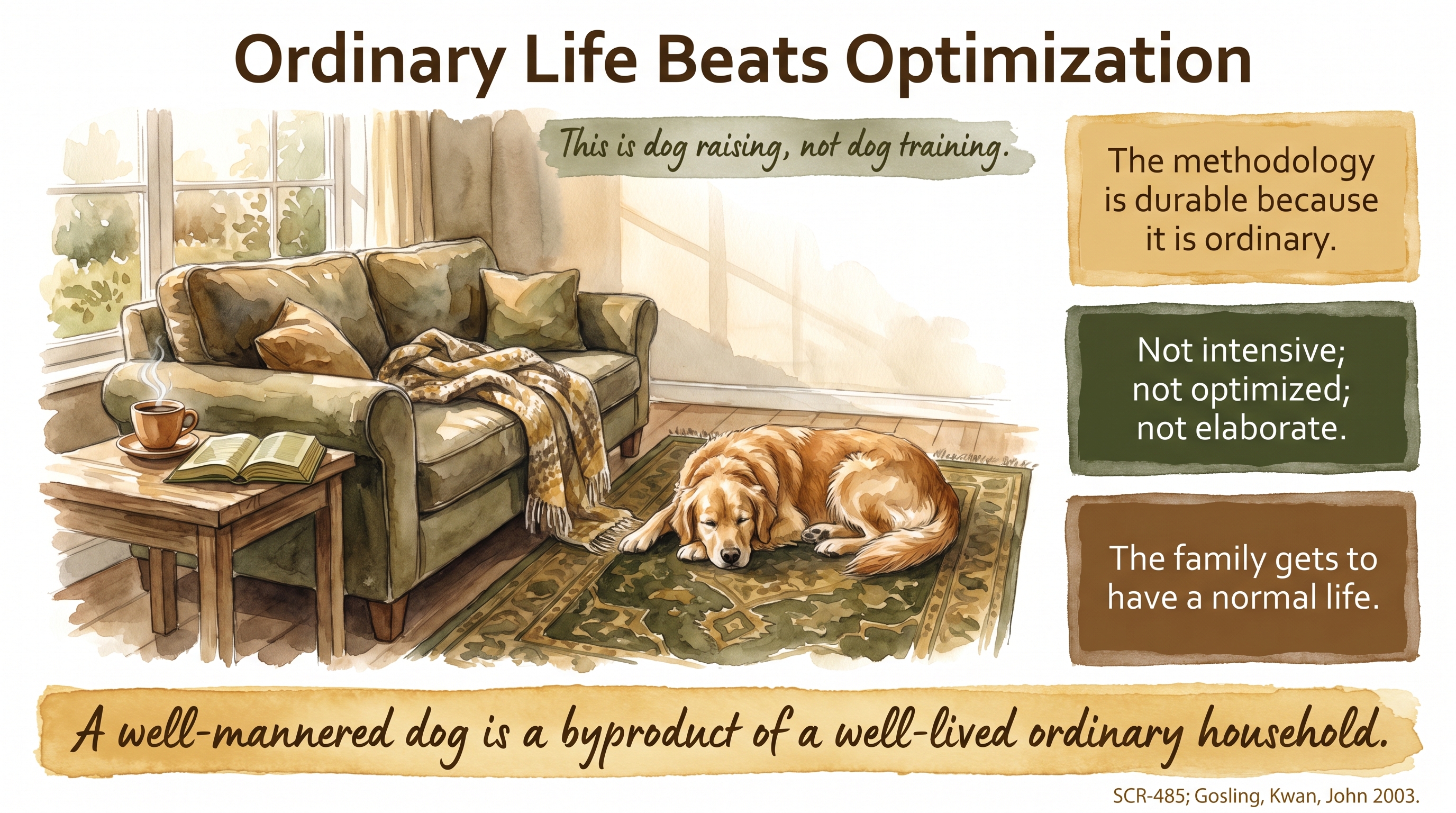 Infographic: Ordinary Life Beats Optimization - why the quiet, unoptimized household produces a more regulated dog than a curated training schedule - Just Behaving Wiki