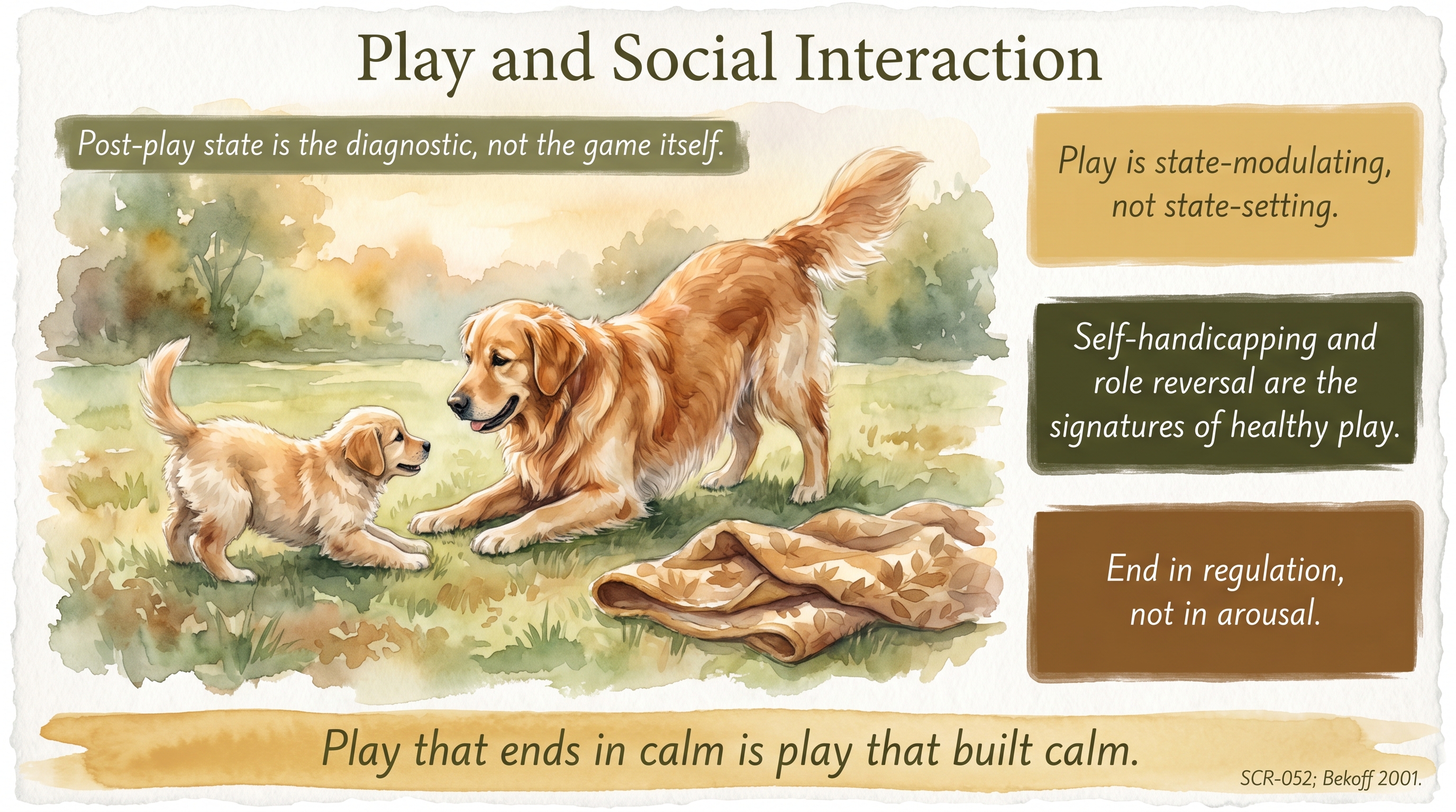 Infographic: Play and Social Interaction - why play that ends in regulation builds a calmer dog than play that ends in arousal - Just Behaving Wiki