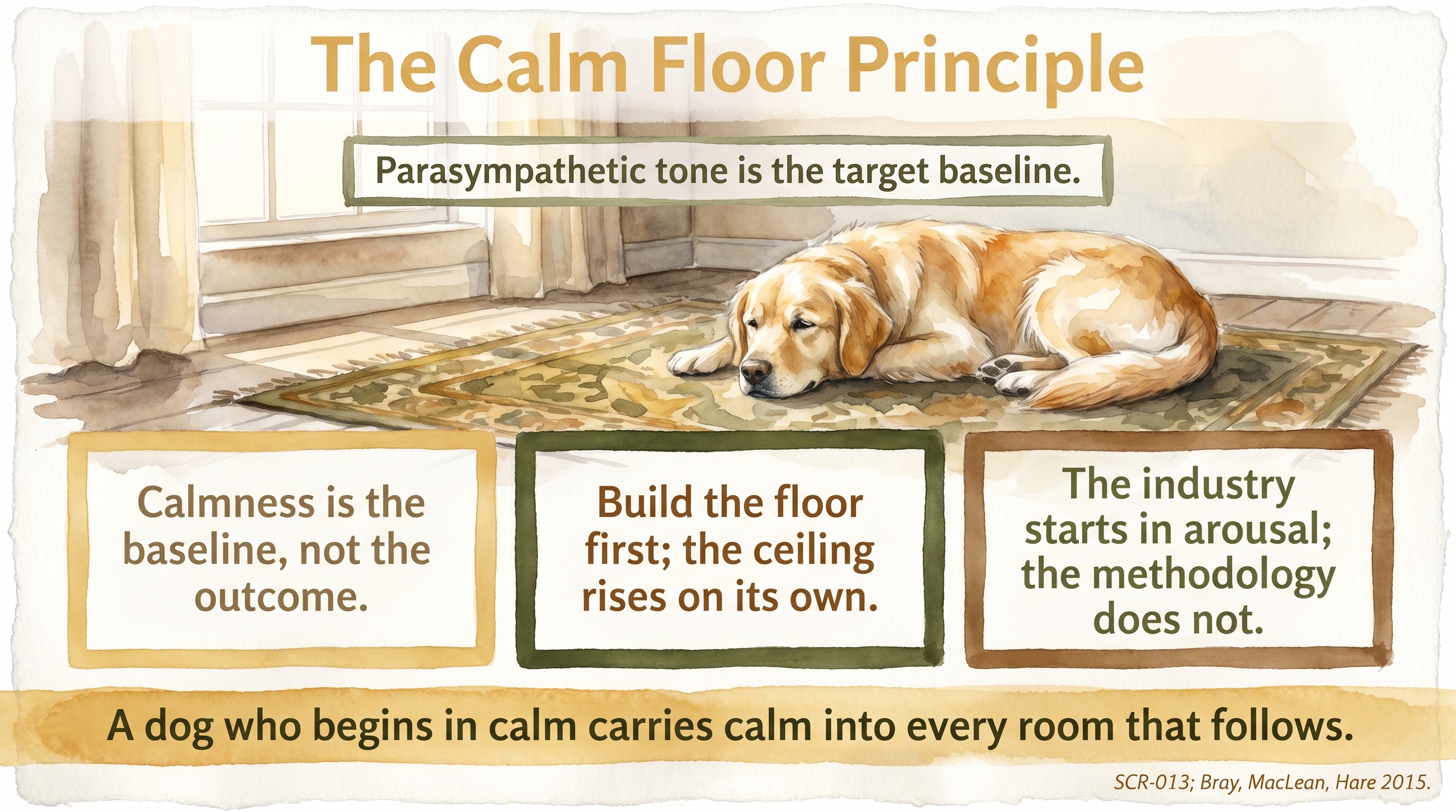 Infographic: The Calm Floor Principle - why the parasympathetic baseline is built first and the window of tolerance expands from there - Just Behaving Wiki