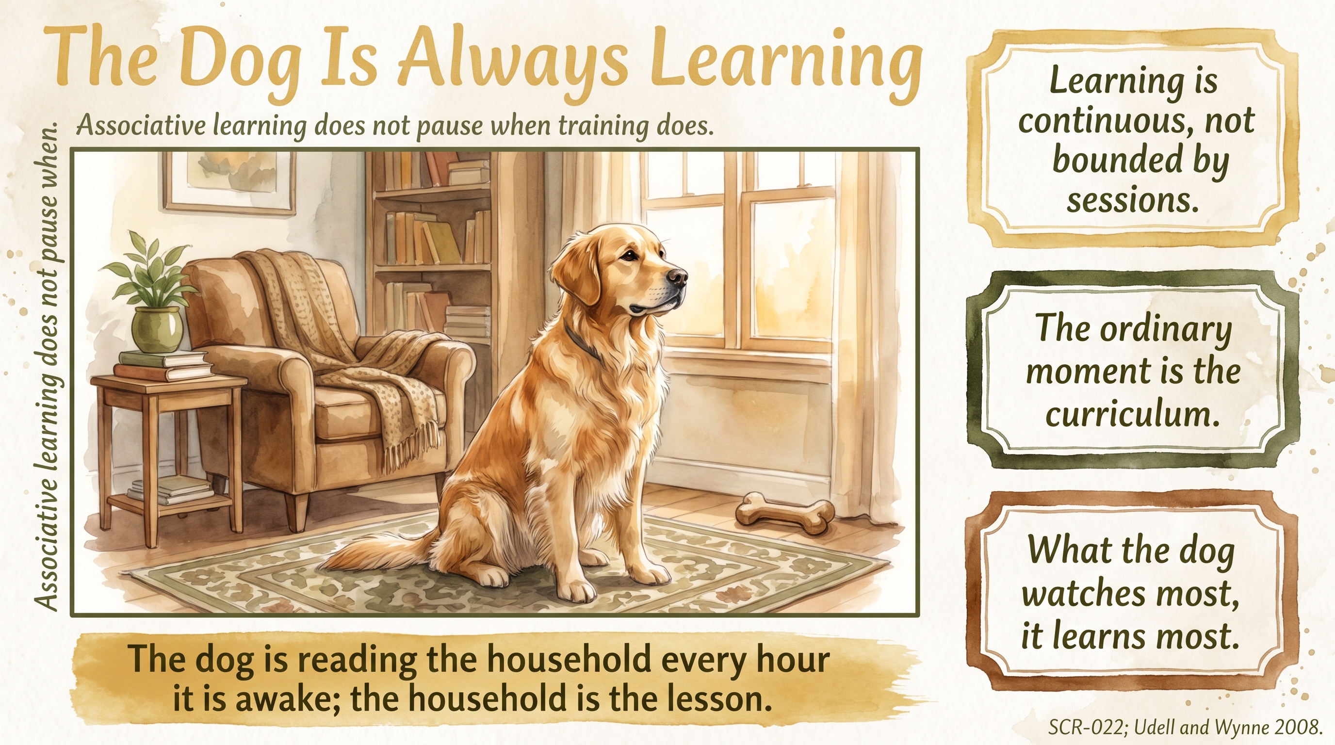 Infographic: The Dog Is Always Learning - how every moment, not just the training session, is encoding the dog's picture of the household - Just Behaving Wiki