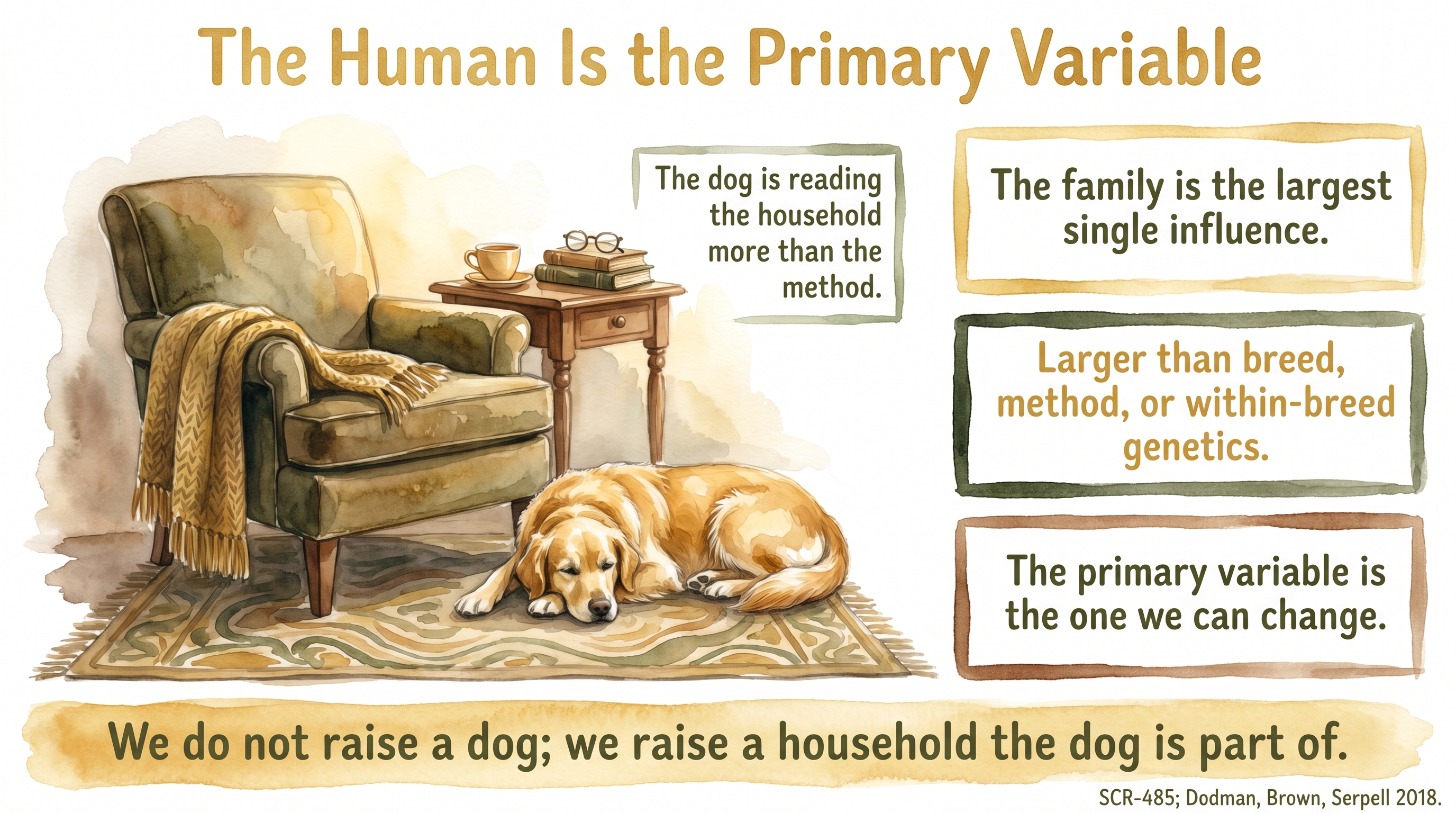 Infographic: The Human Is the Primary Variable - the handler's regulated state as the main input the dog is reading - Just Behaving Wiki