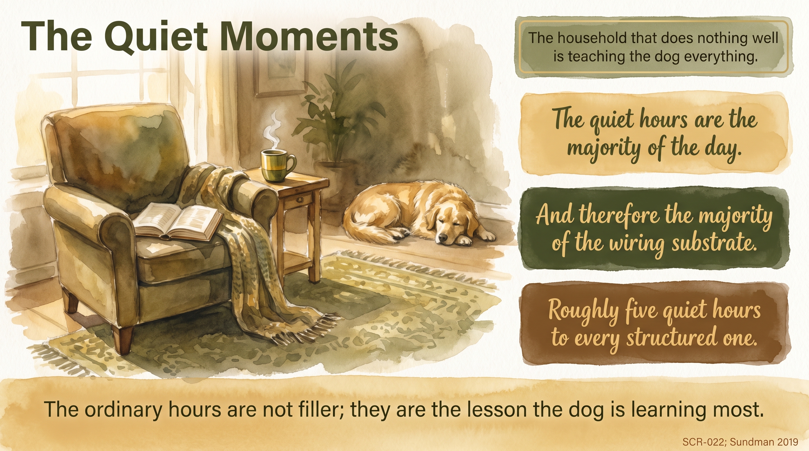 Infographic: The Quiet Moments - why the unstructured majority of a dog's day is the wiring substrate the household is building on - Just Behaving Wiki