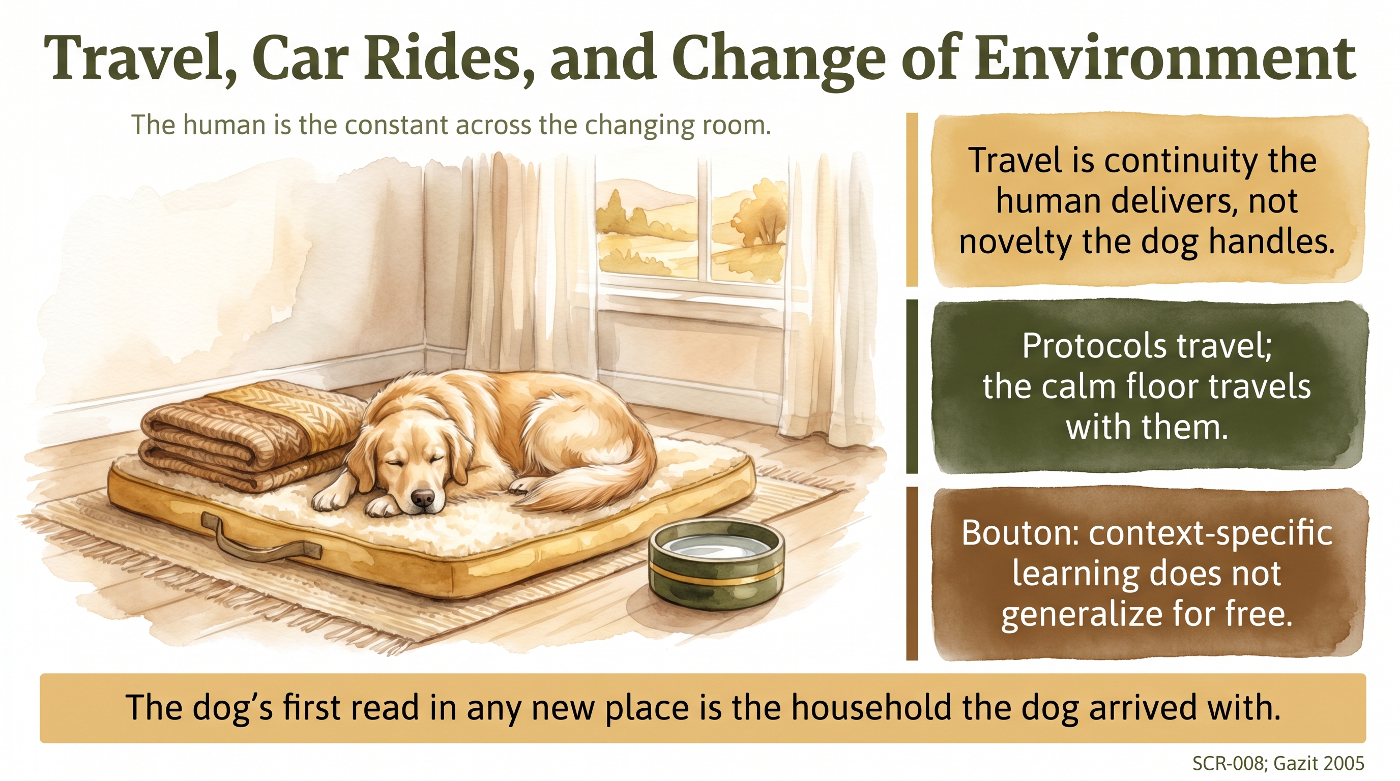 Infographic: Travel, Car Rides, and Change of Environment - how the regulated human travels with the dog so the surroundings change but the channel does not - Just Behaving Wiki