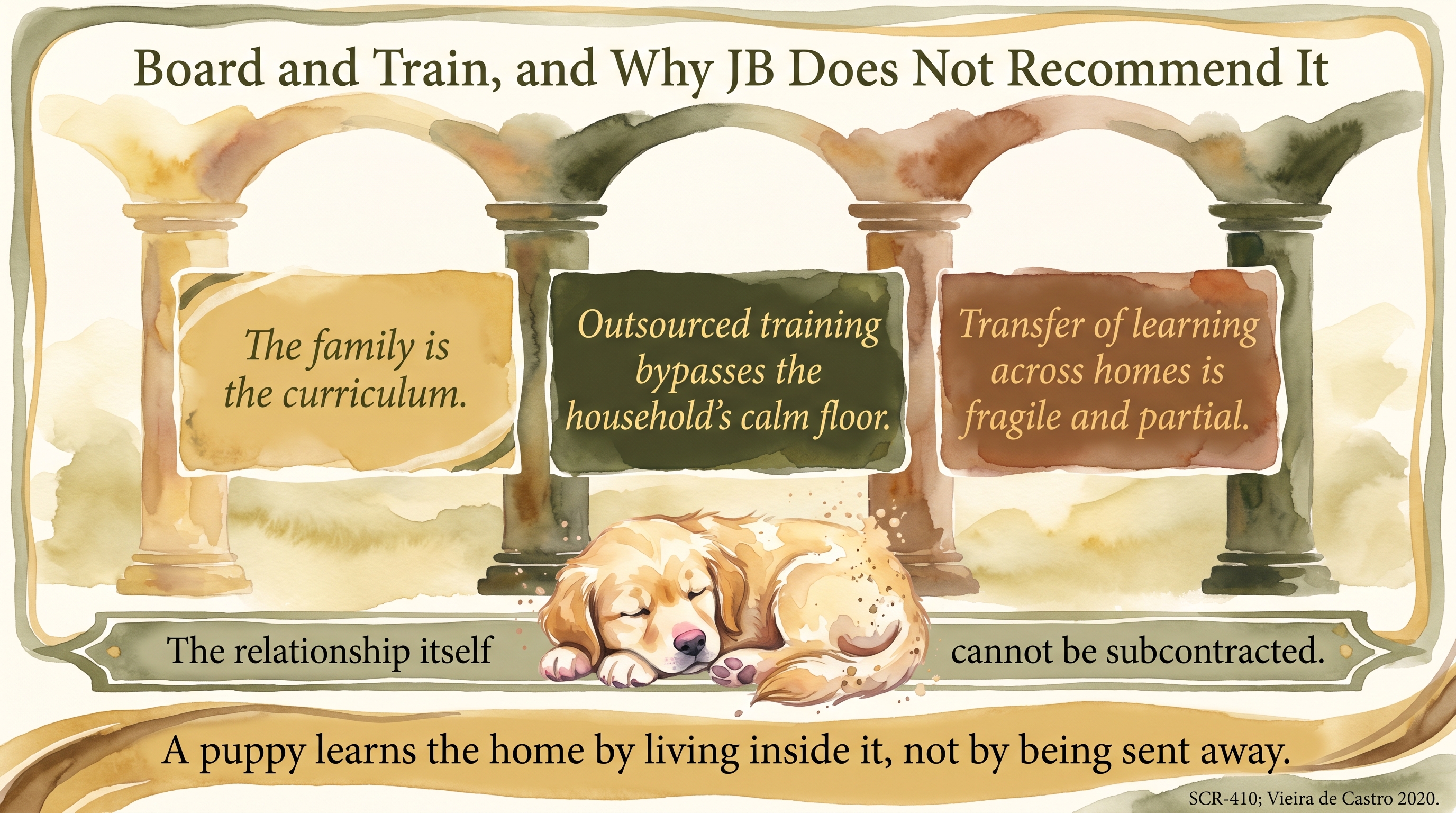 Infographic: Board-and-train in the first month - why JB does not recommend outsourcing the puppy - Just Behaving Wiki