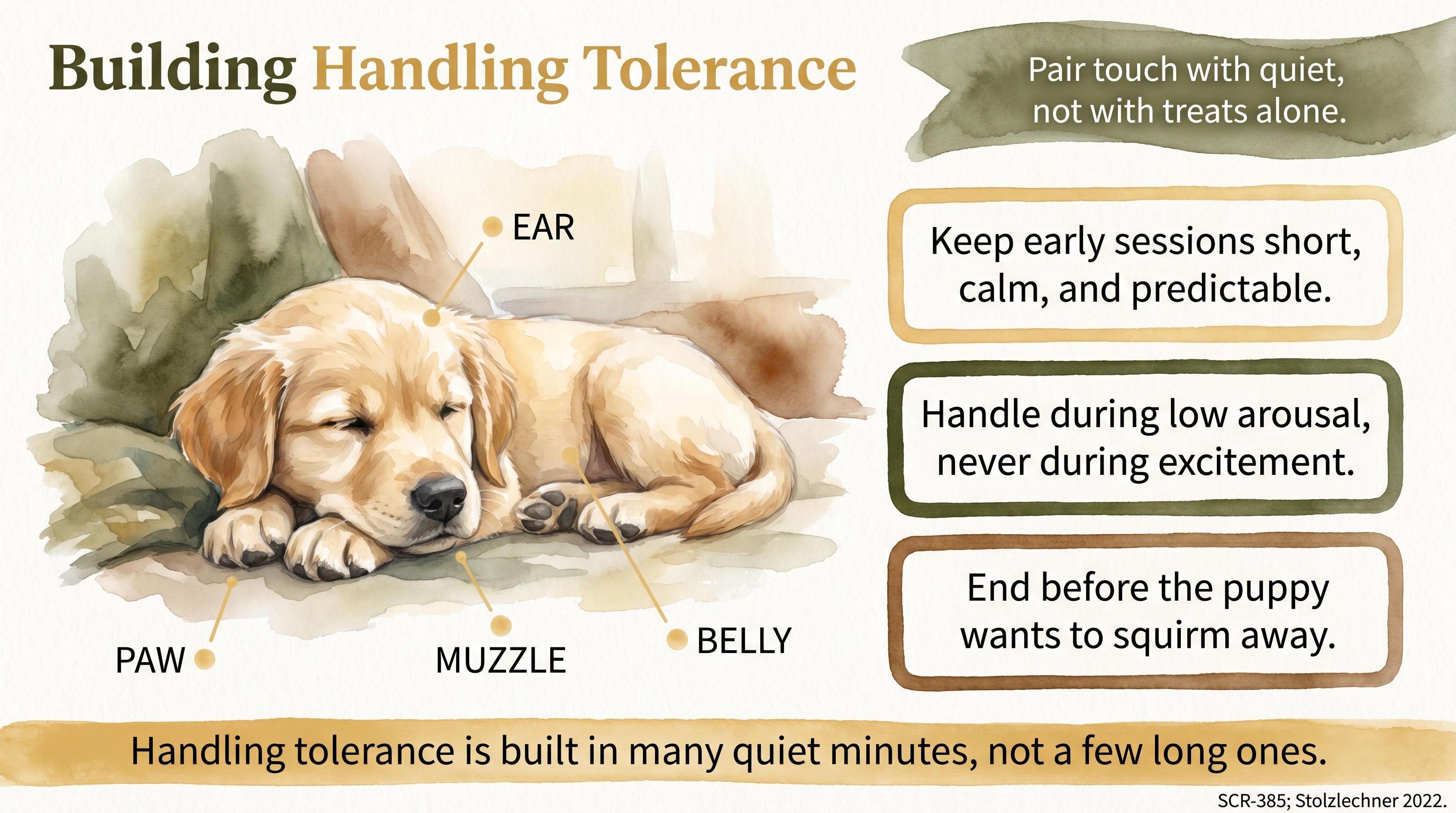 Infographic: Building handling tolerance - calm short sessions for lifetime body acceptance - Just Behaving Wiki