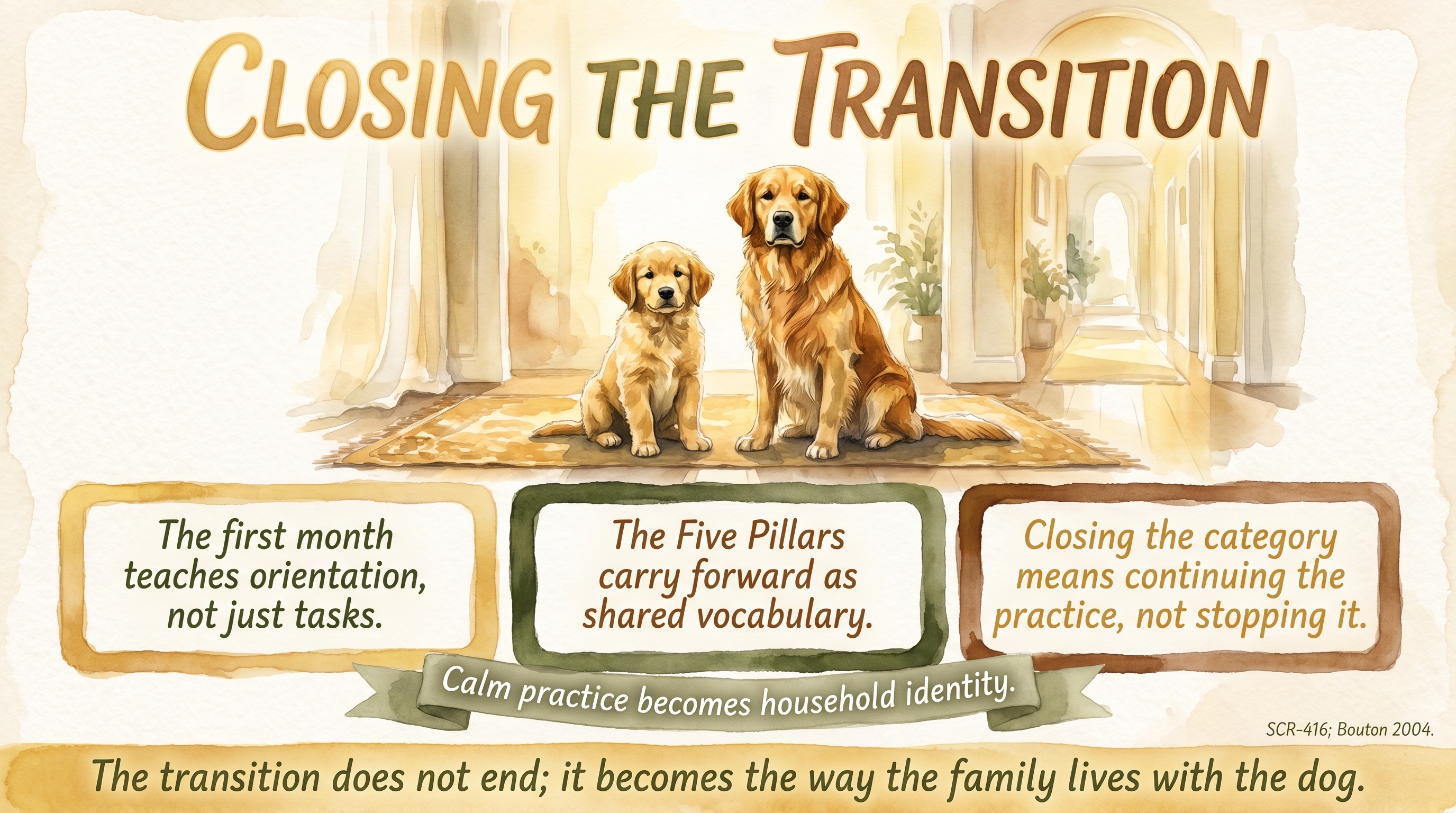 Infographic: Closing the transition category - hand-off to daily life with the dog - Just Behaving Wiki