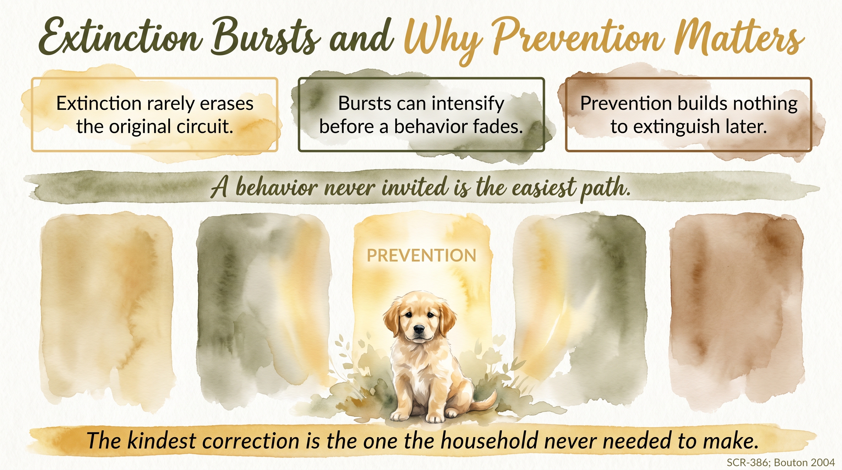 Infographic: Extinction bursts and why prevention matters - the cleanest first-month intervention - Just Behaving Wiki