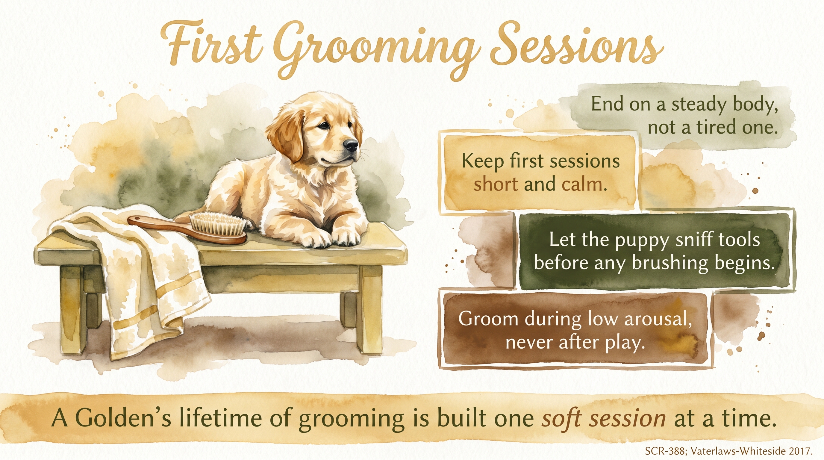 Infographic: First grooming sessions - body acceptance through short calm rituals - Just Behaving Wiki