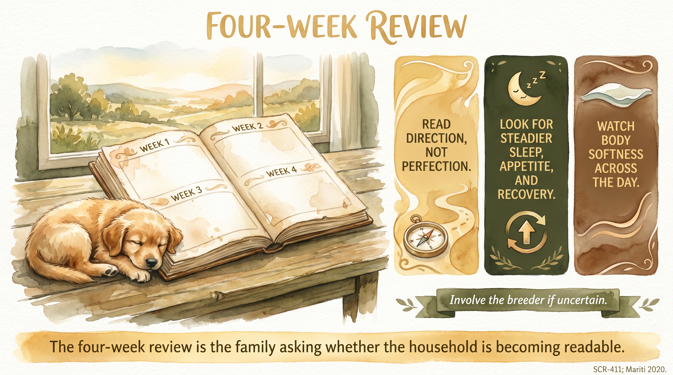 Infographic: Four-week review - first-month checkpoint for what is settling well - Just Behaving Wiki