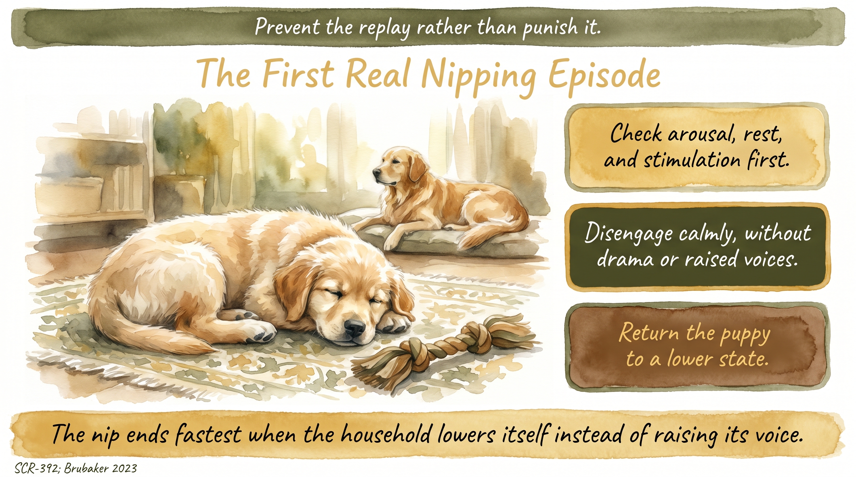 Infographic: Handling the first real nipping episode - calm disengagement over confrontation - Just Behaving Wiki