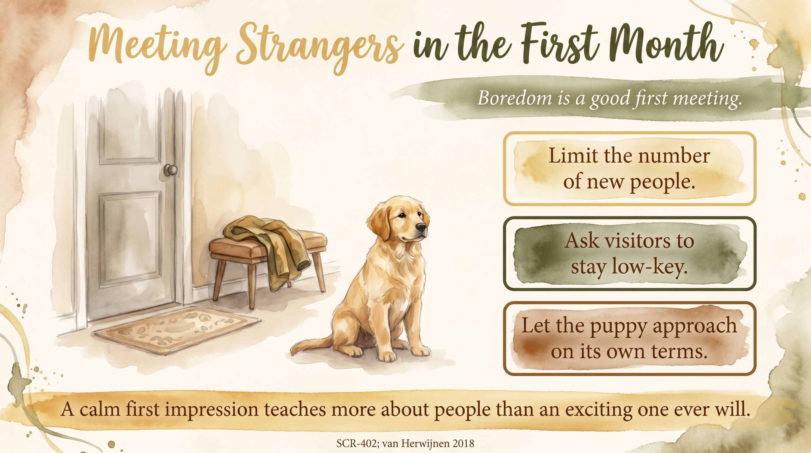Infographic: Meeting strangers in the first month - neutrality over social pressure - Just Behaving Wiki