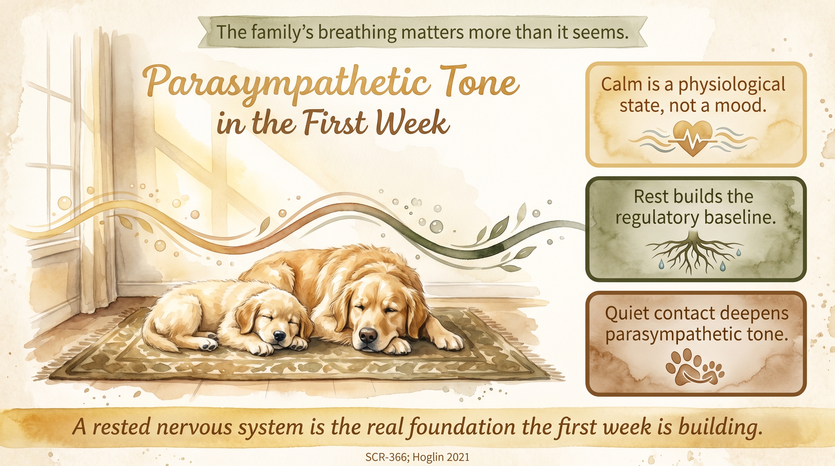 Infographic: Parasympathetic tone in the first week - the regulated baseline JB builds first - Just Behaving Wiki