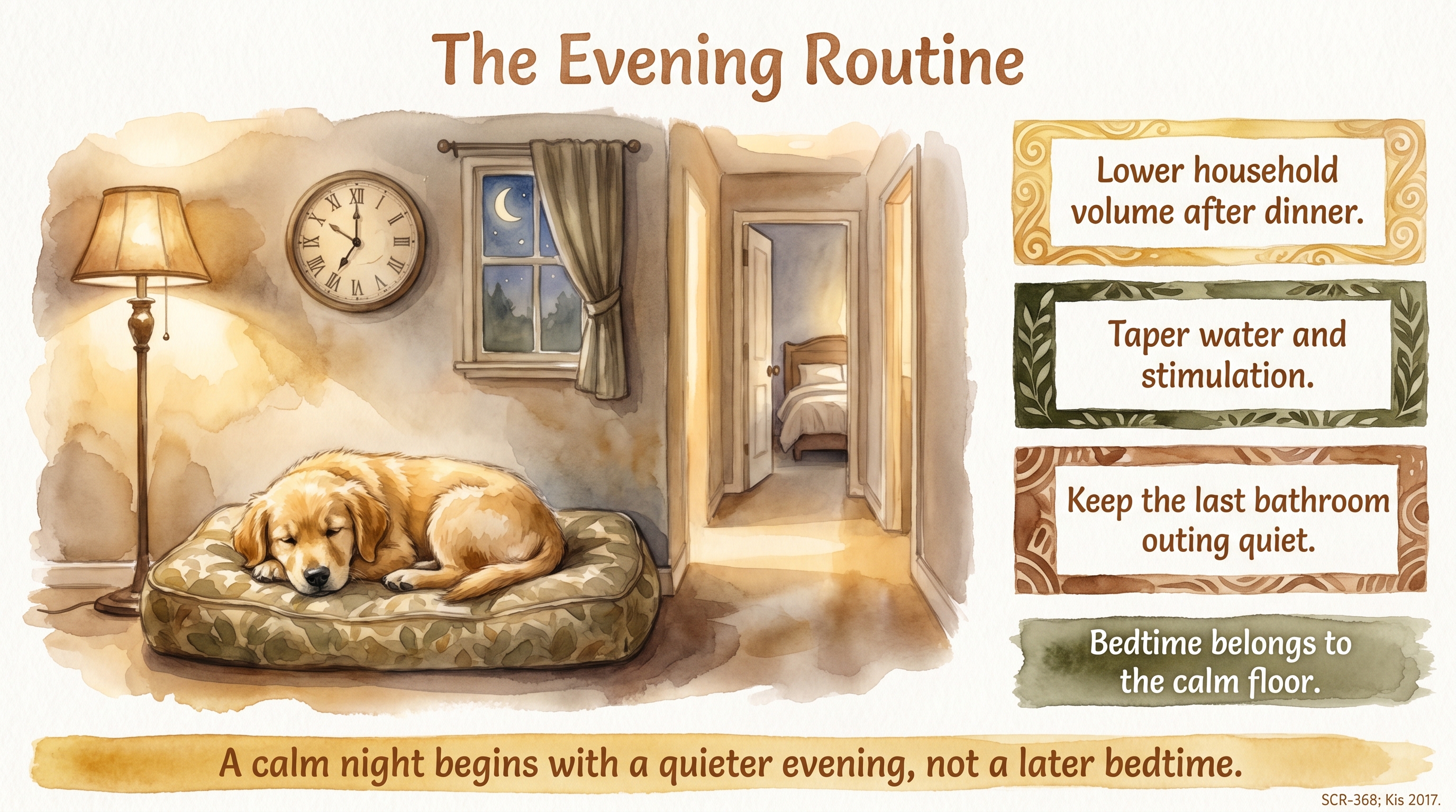 Infographic: The evening routine in the first week - wind-down window for overtired puppies - Just Behaving Wiki