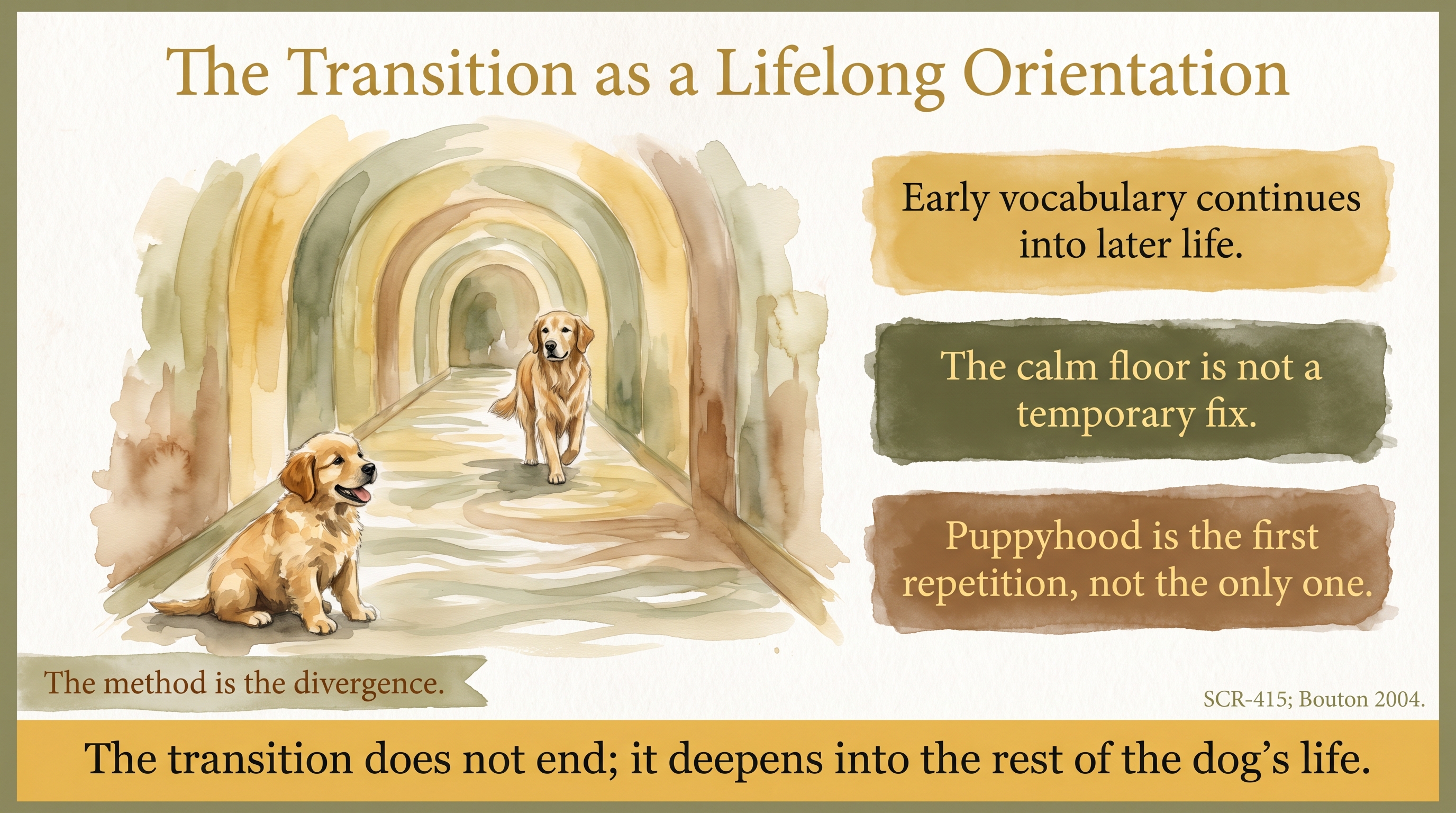 Infographic: The transition as a lifelong orientation - first month continues into later life - Just Behaving Wiki