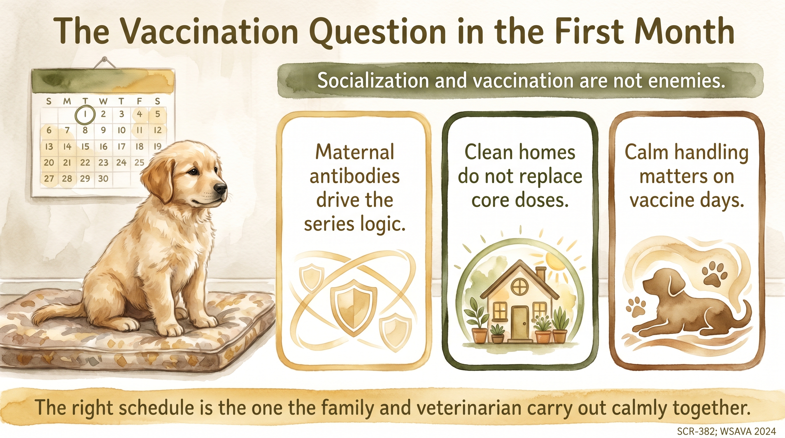 Infographic: The vaccination question in the first month - maternal antibodies and core doses - Just Behaving Wiki