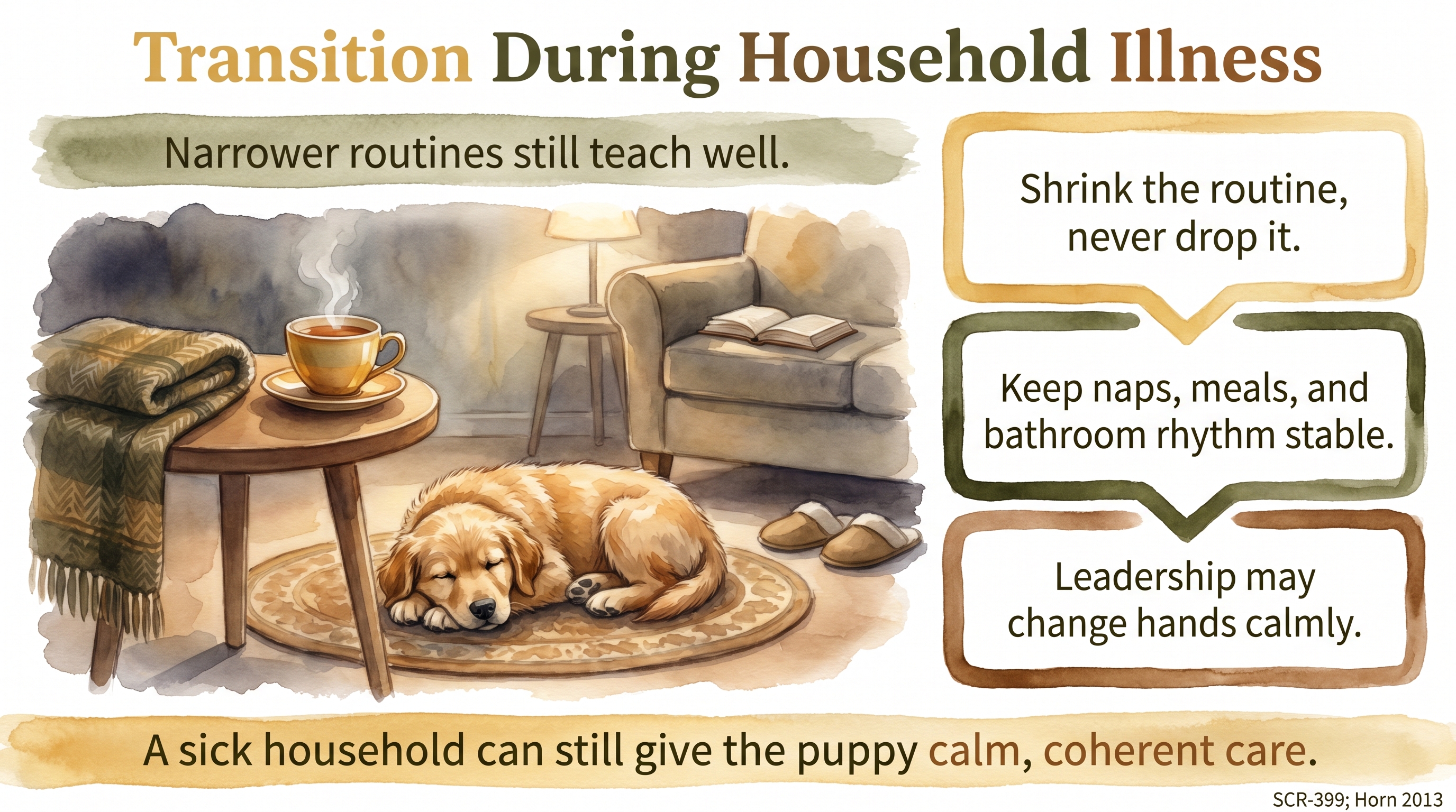 Infographic: Transition during household illness - protecting the puppy's calm baseline - Just Behaving Wiki
