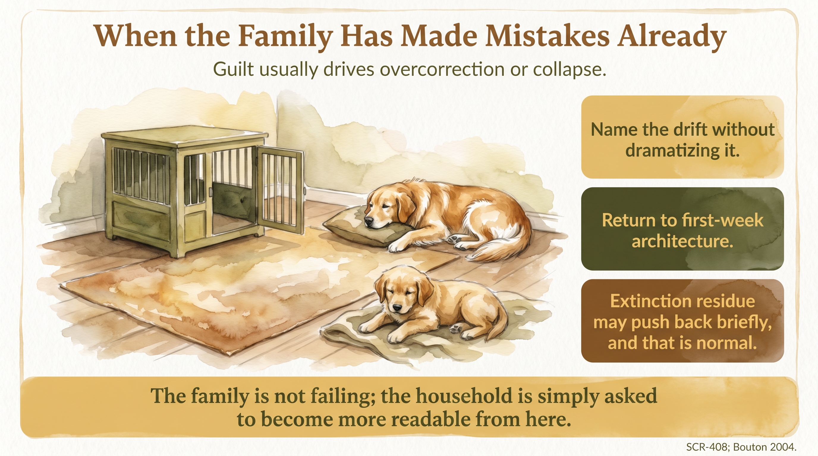 Infographic: When the family has made mistakes already - resetting without guilt or drama - Just Behaving Wiki